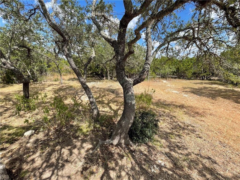 10501 Hill Country Skyline, Dripping Springs, TX 78620