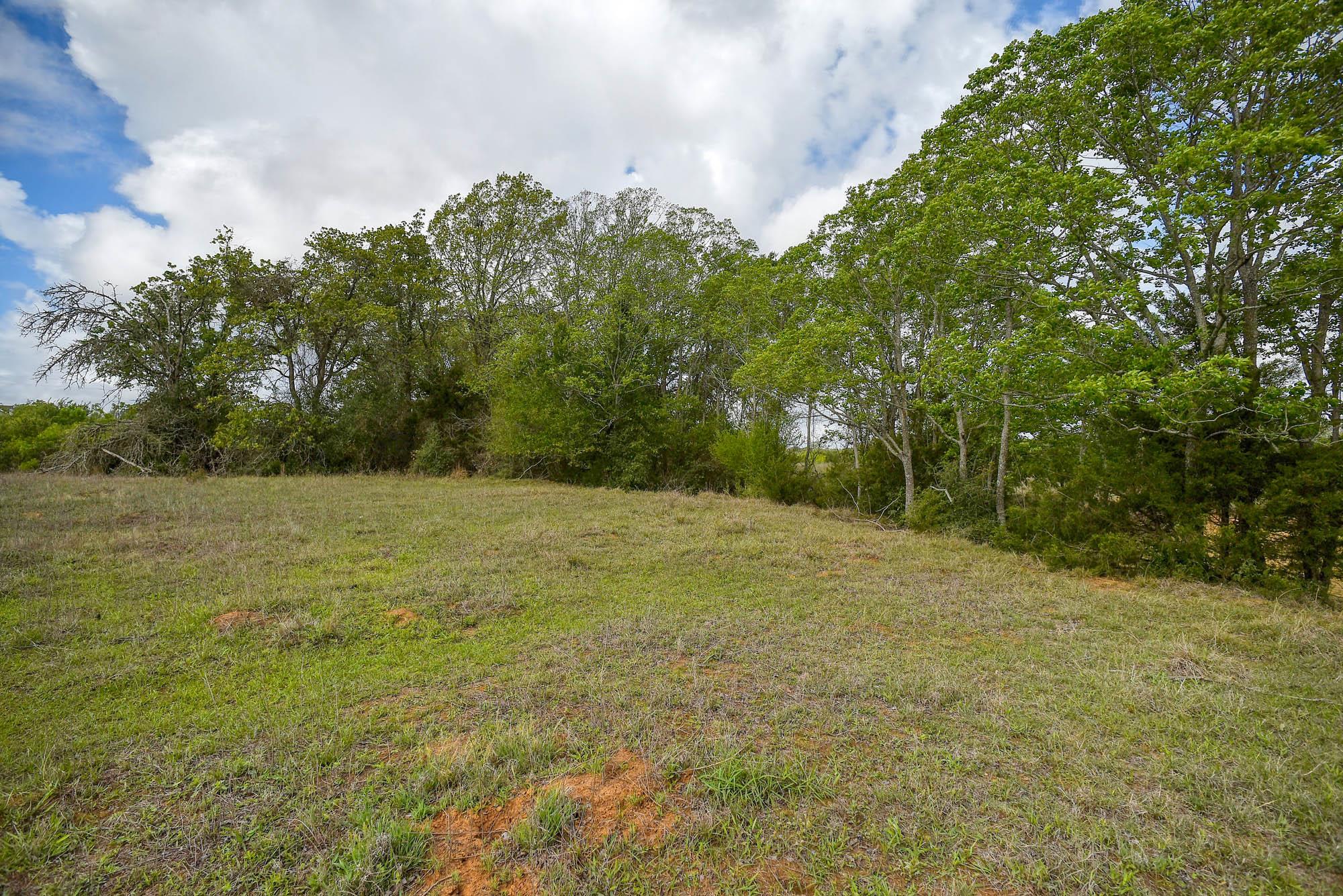 335 Frenzel Cut Off, Paige, TX 78659