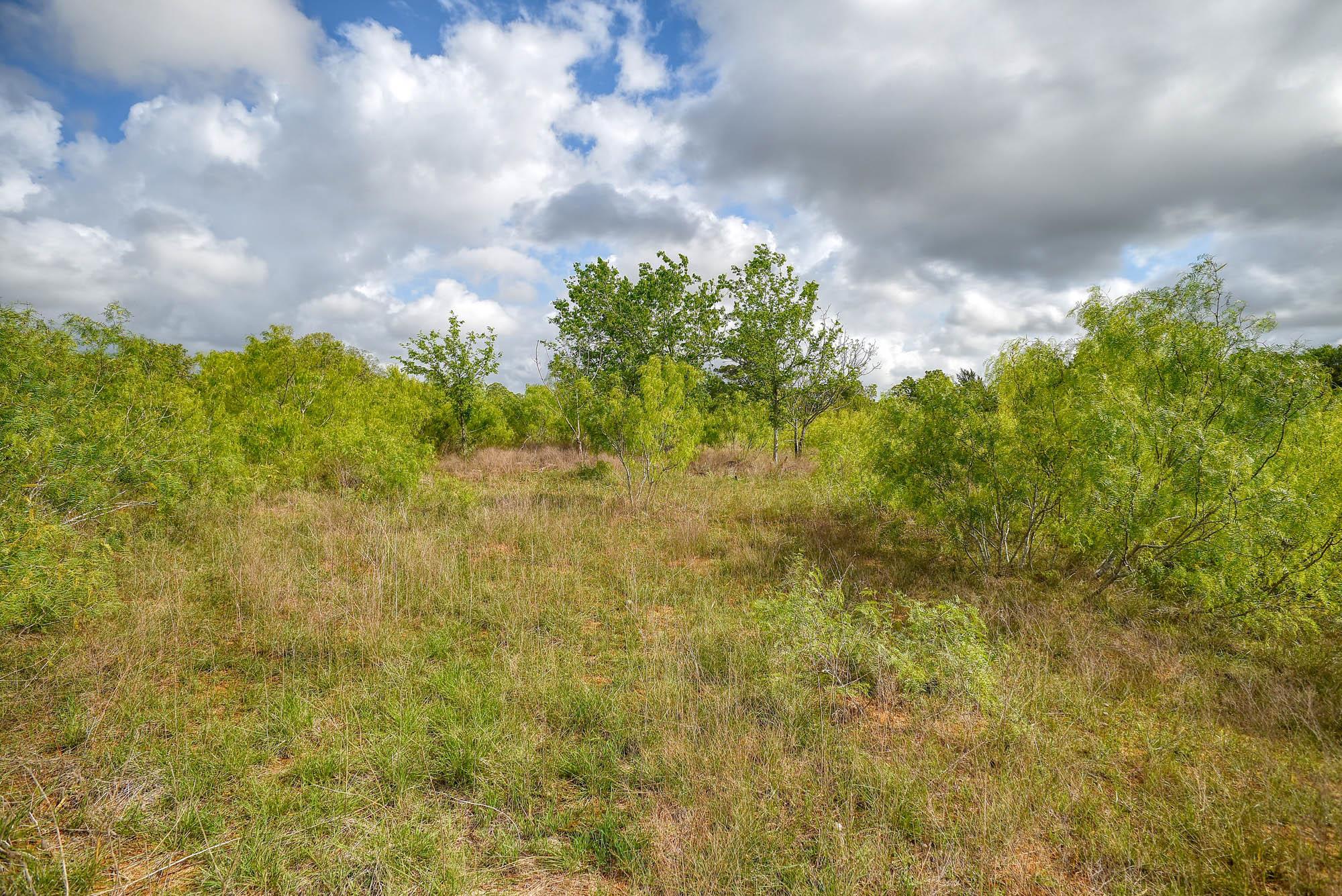 335 Frenzel Cut Off, Paige, TX 78659