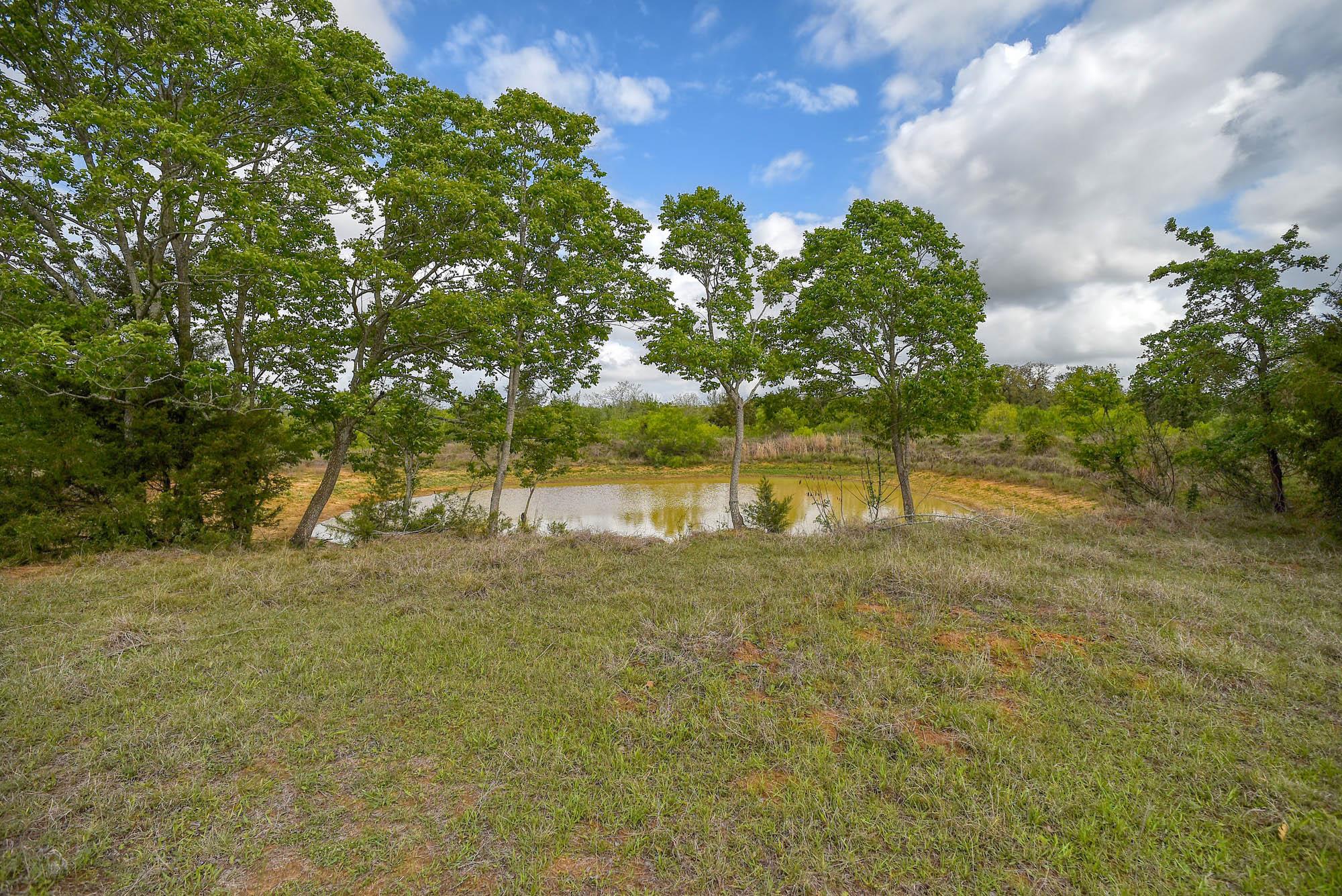 335 Frenzel Cut Off, Paige, TX 78659