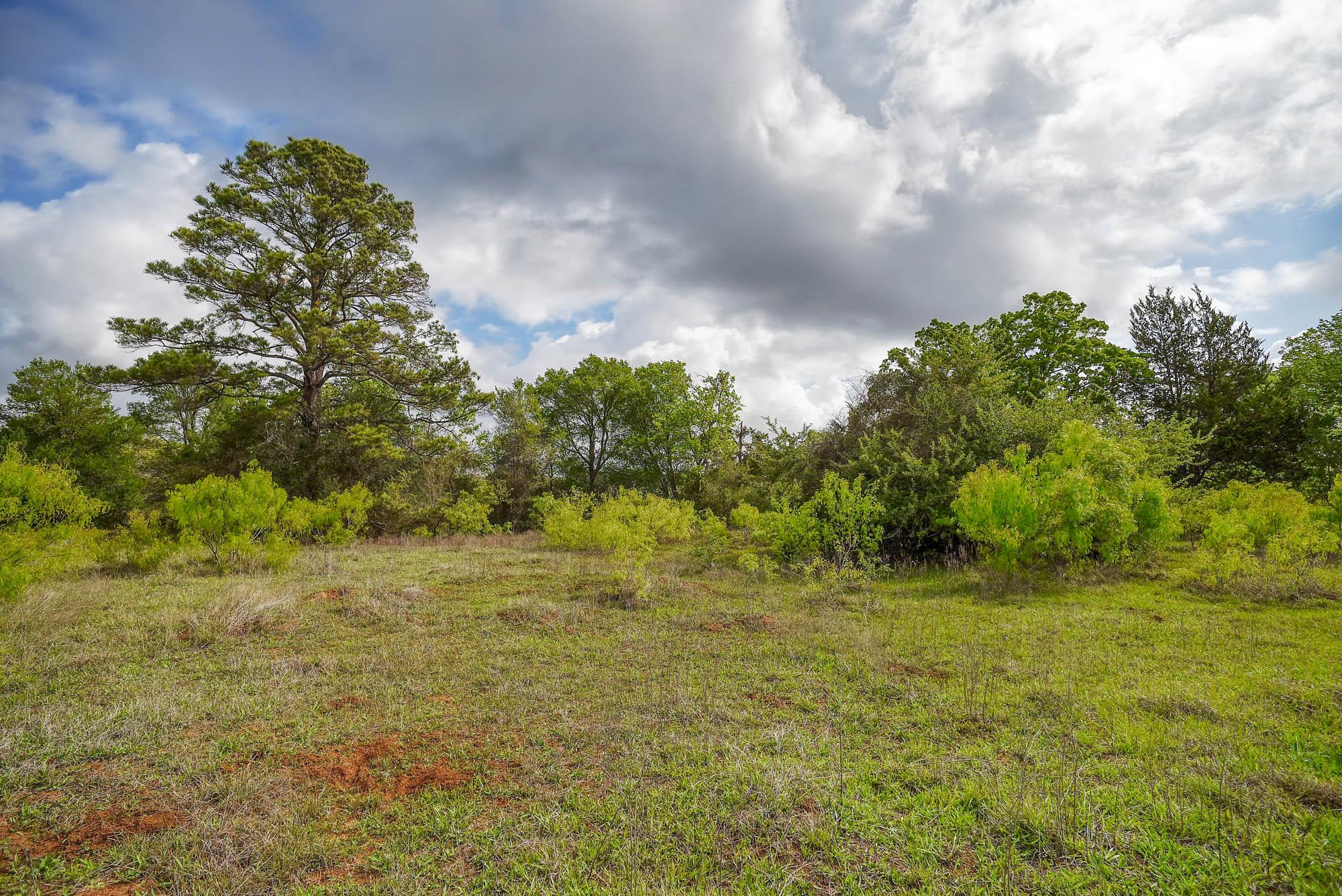 335 Frenzel Cut Off, Paige, TX 78659