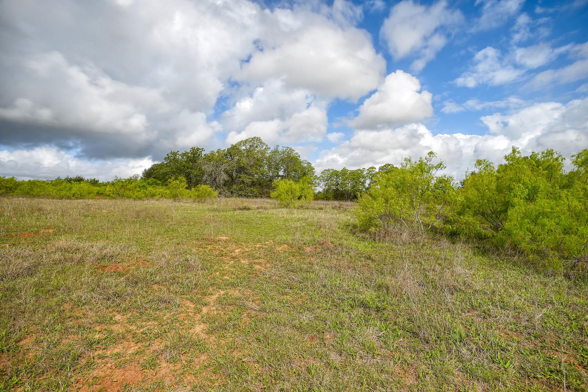 335 Frenzel Cut Off, Paige, TX 78659