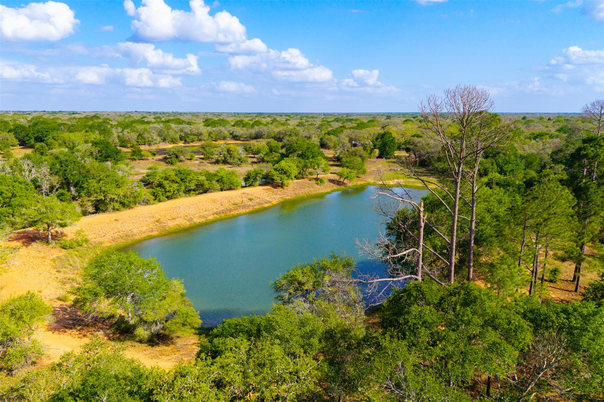 1106 N County Rd 255, Garwood, TX 77442