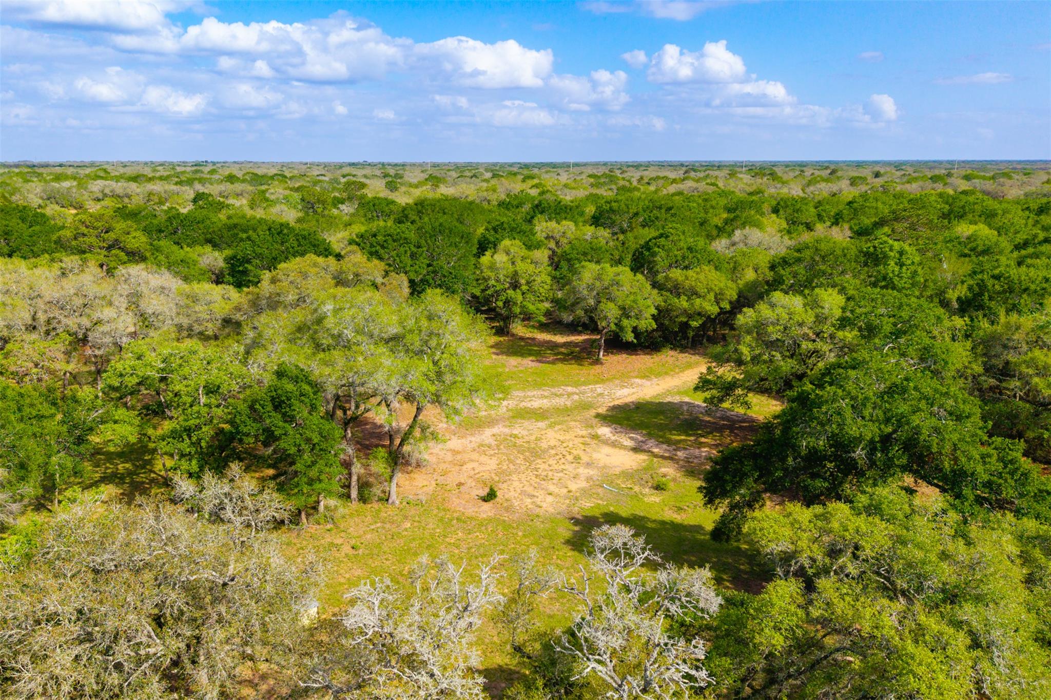 1106 N County Rd 255, Garwood, TX 77442