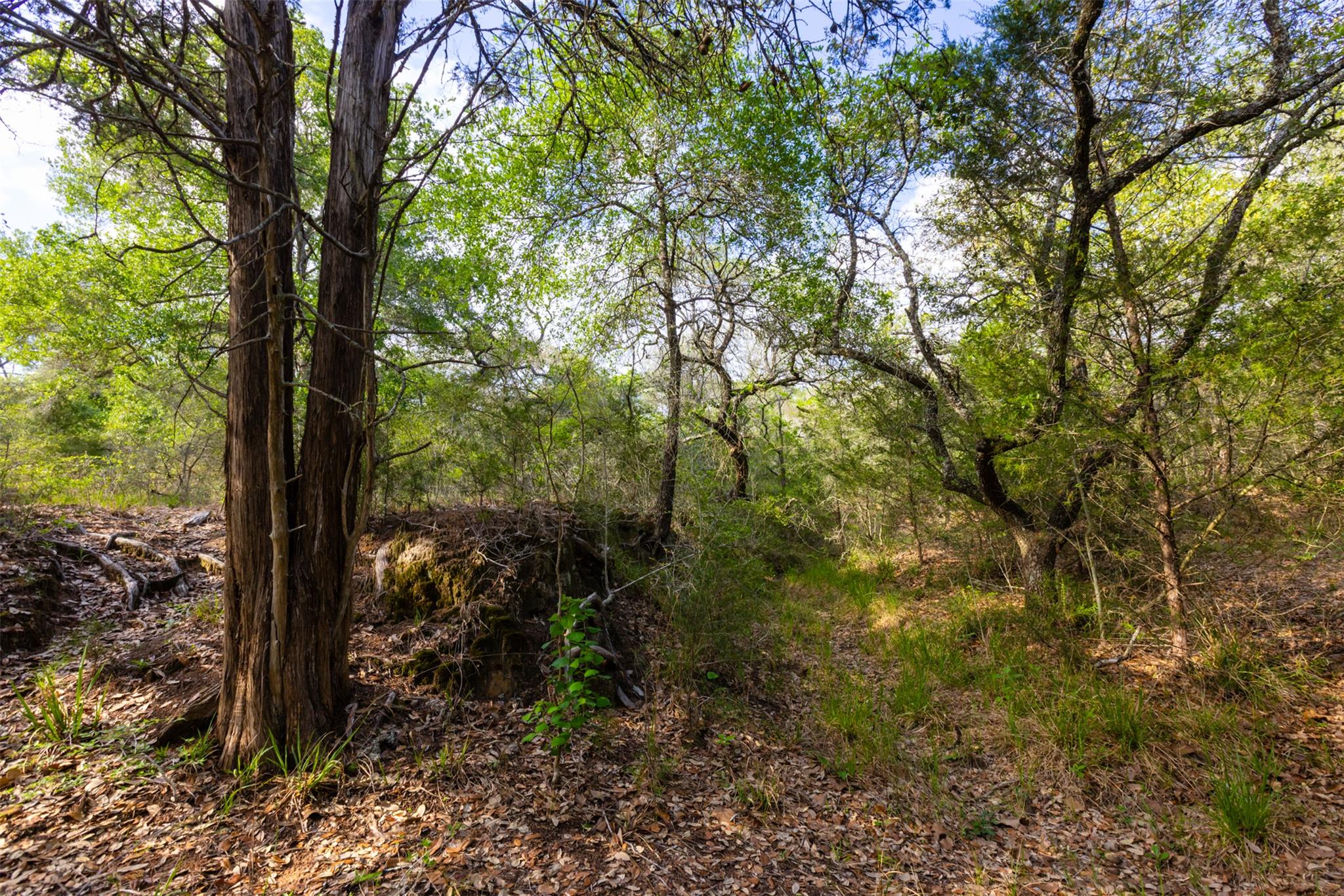 1106 N County Rd 255, Garwood, TX 77442