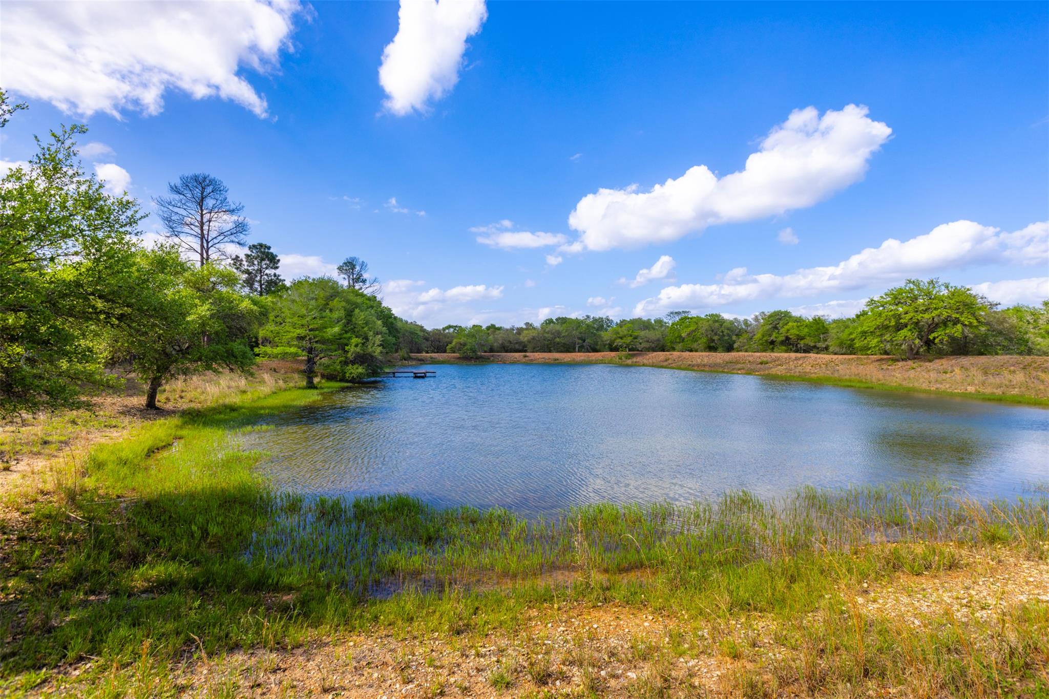 1106 N County Rd 255, Garwood, TX 77442