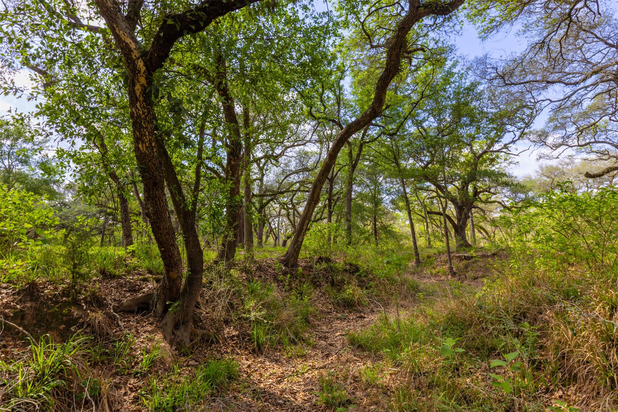 1106 N County Rd 255, Garwood, TX 77442