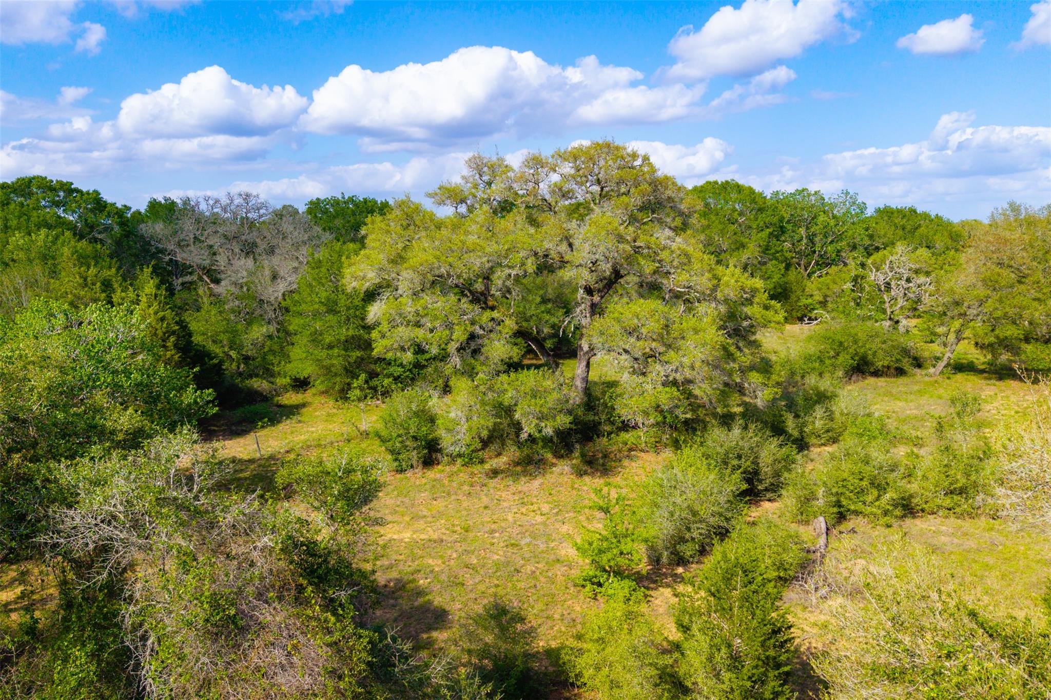 1106 N County Rd 255, Garwood, TX 77442