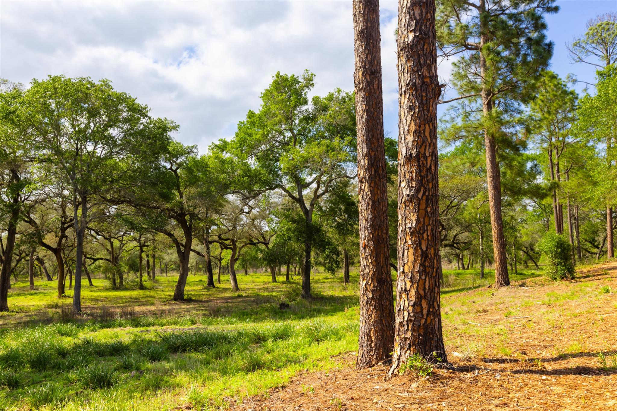 1106 N County Rd 255, Garwood, TX 77442