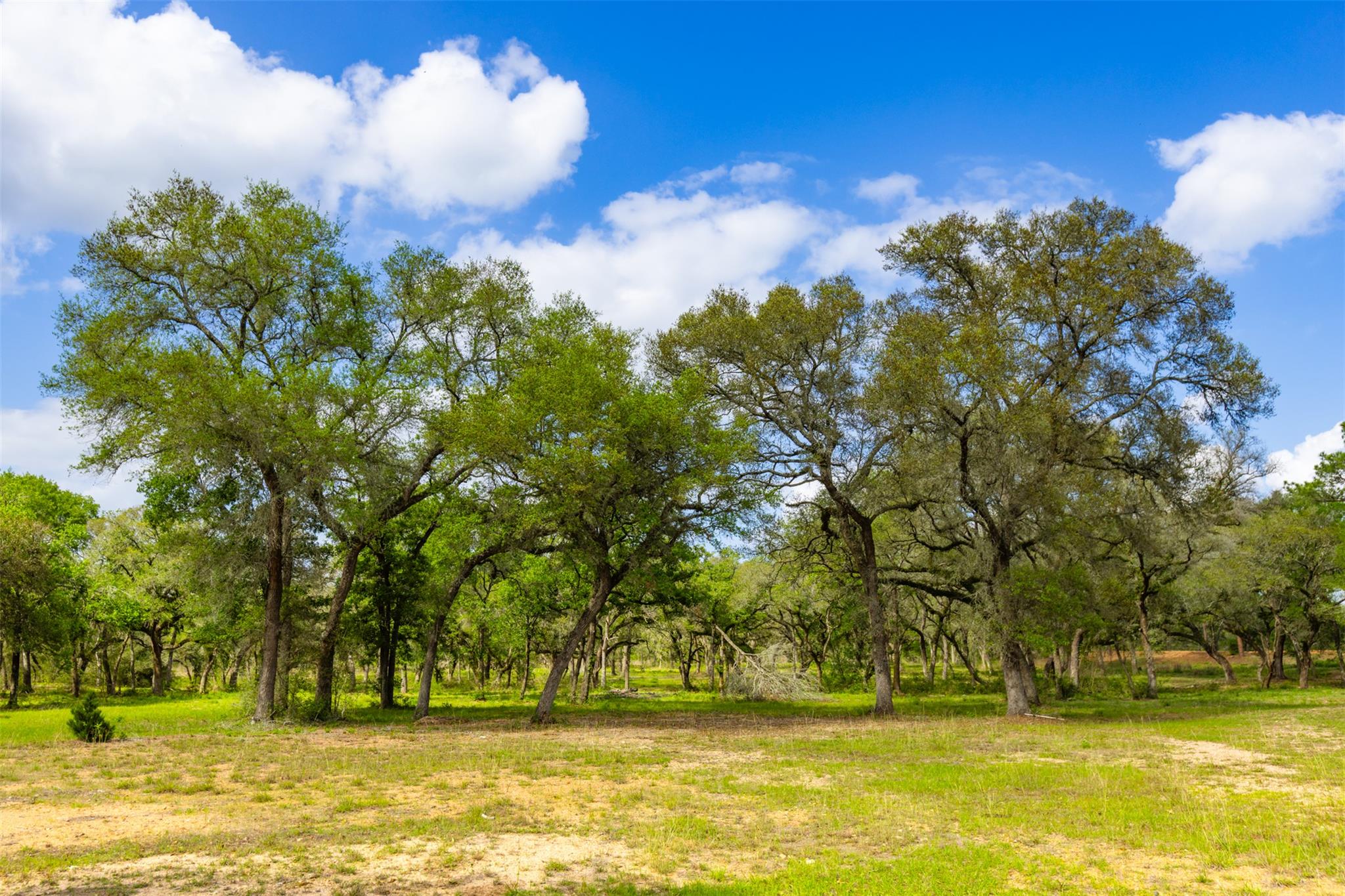 1106 N County Rd 255, Garwood, TX 77442