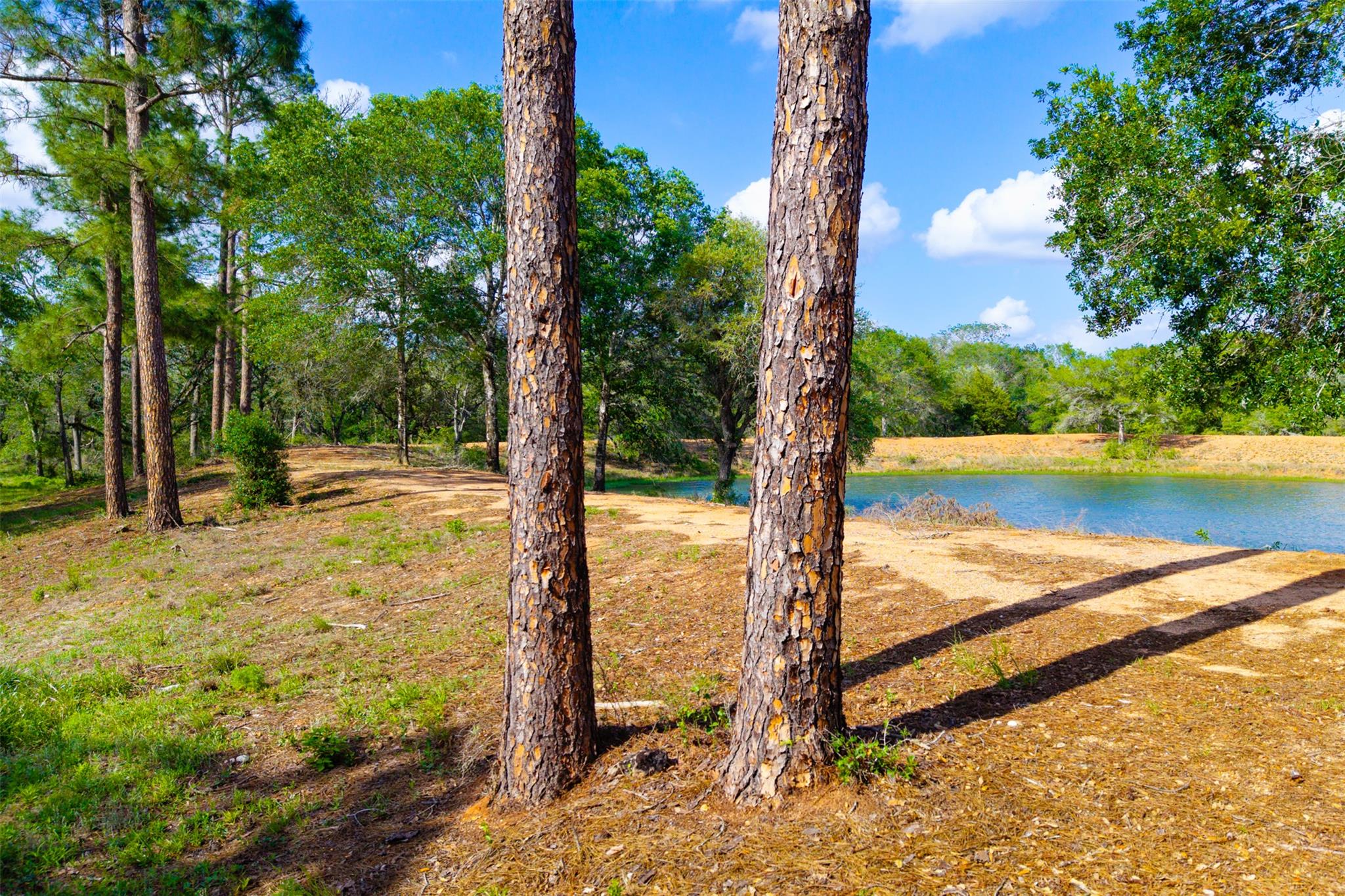 1106 N County Rd 255, Garwood, TX 77442