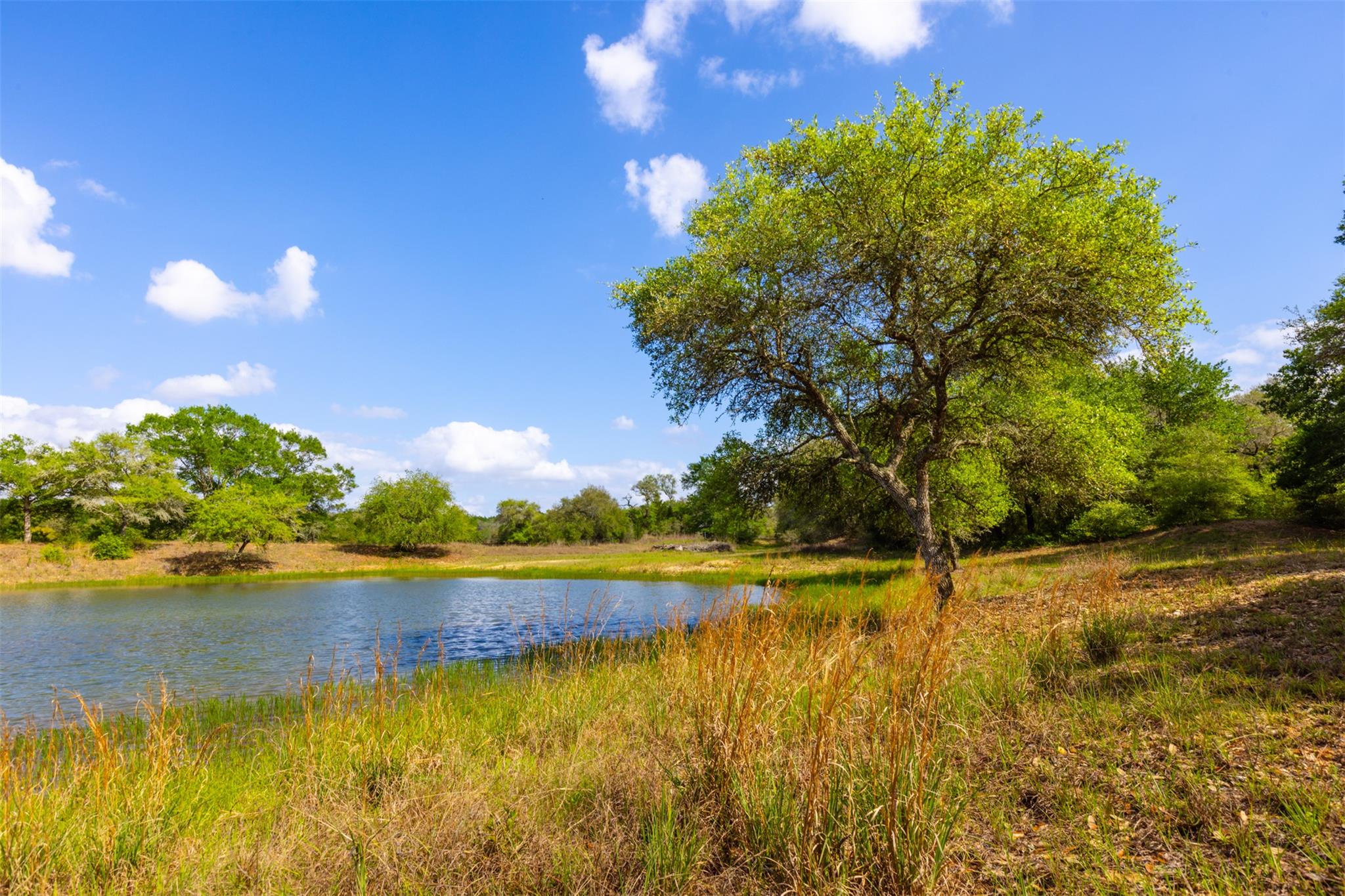 1106 N County Rd 255, Garwood, TX 77442