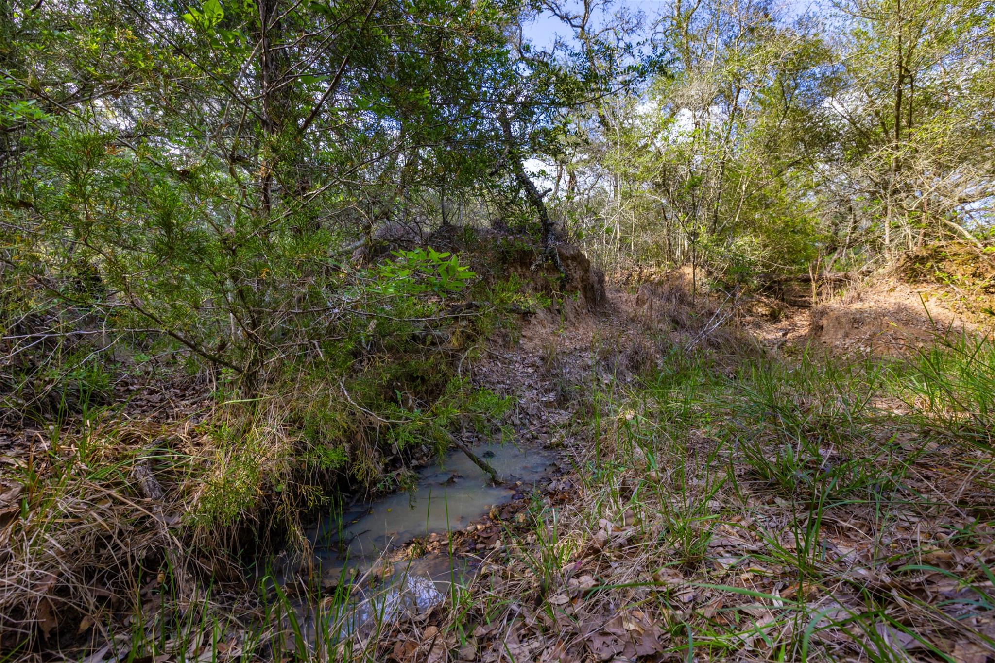 1106 N County Rd 255, Garwood, TX 77442