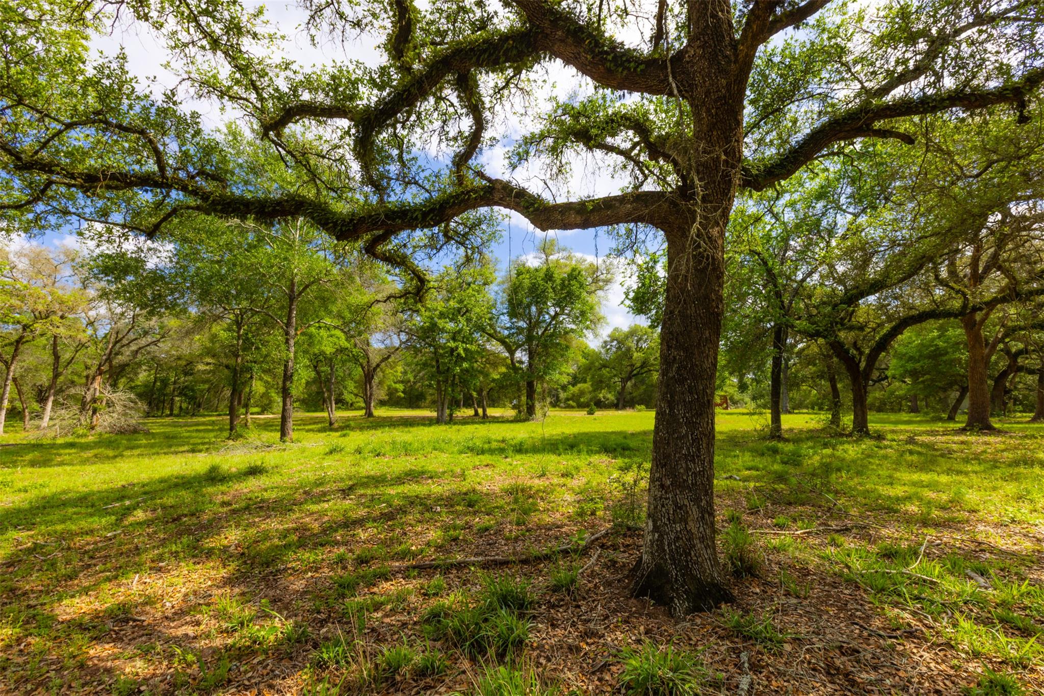 1106 N County Rd 255, Garwood, TX 77442