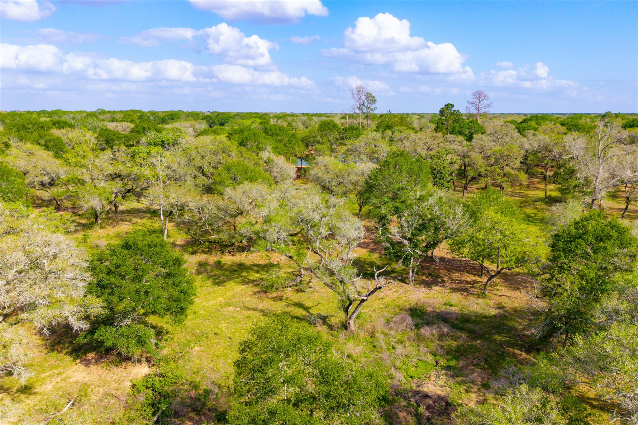 1106 N County Rd 255, Garwood, TX 77442