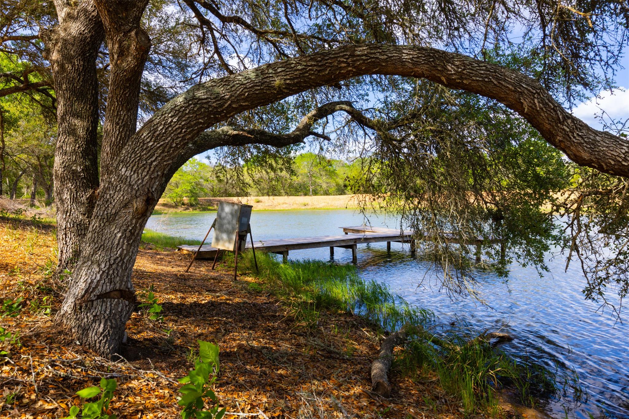 1106 N County Rd 255, Garwood, TX 77442