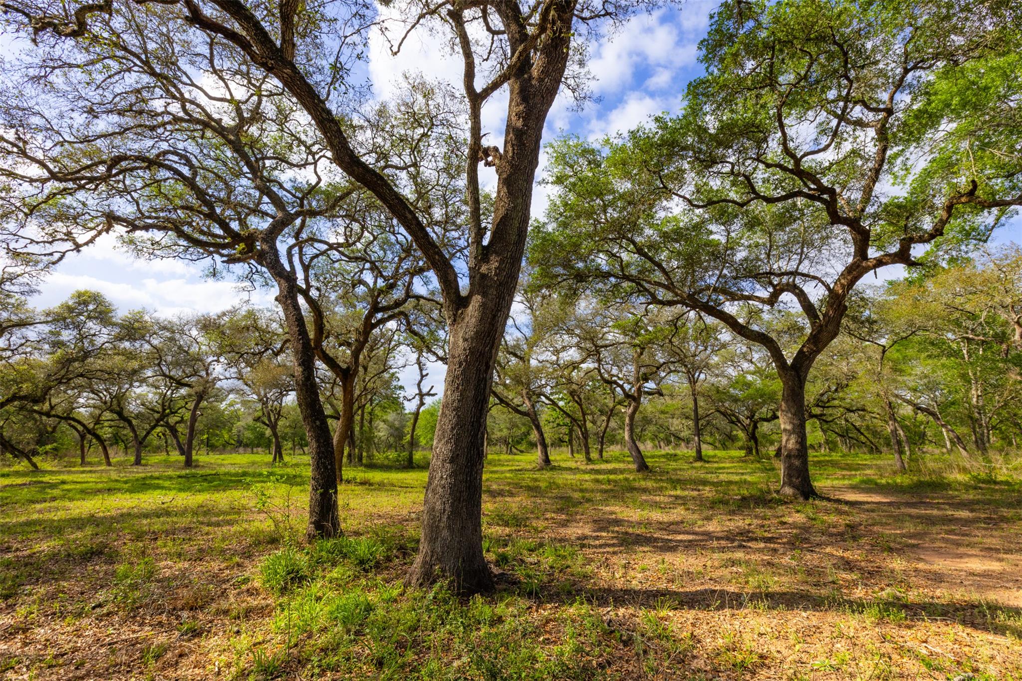 1106 N County Rd 255, Garwood, TX 77442