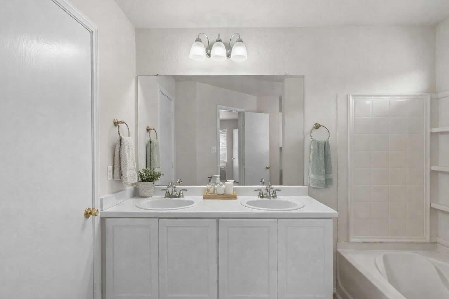 208 Dandelion Loop, Kyle, TX 78640