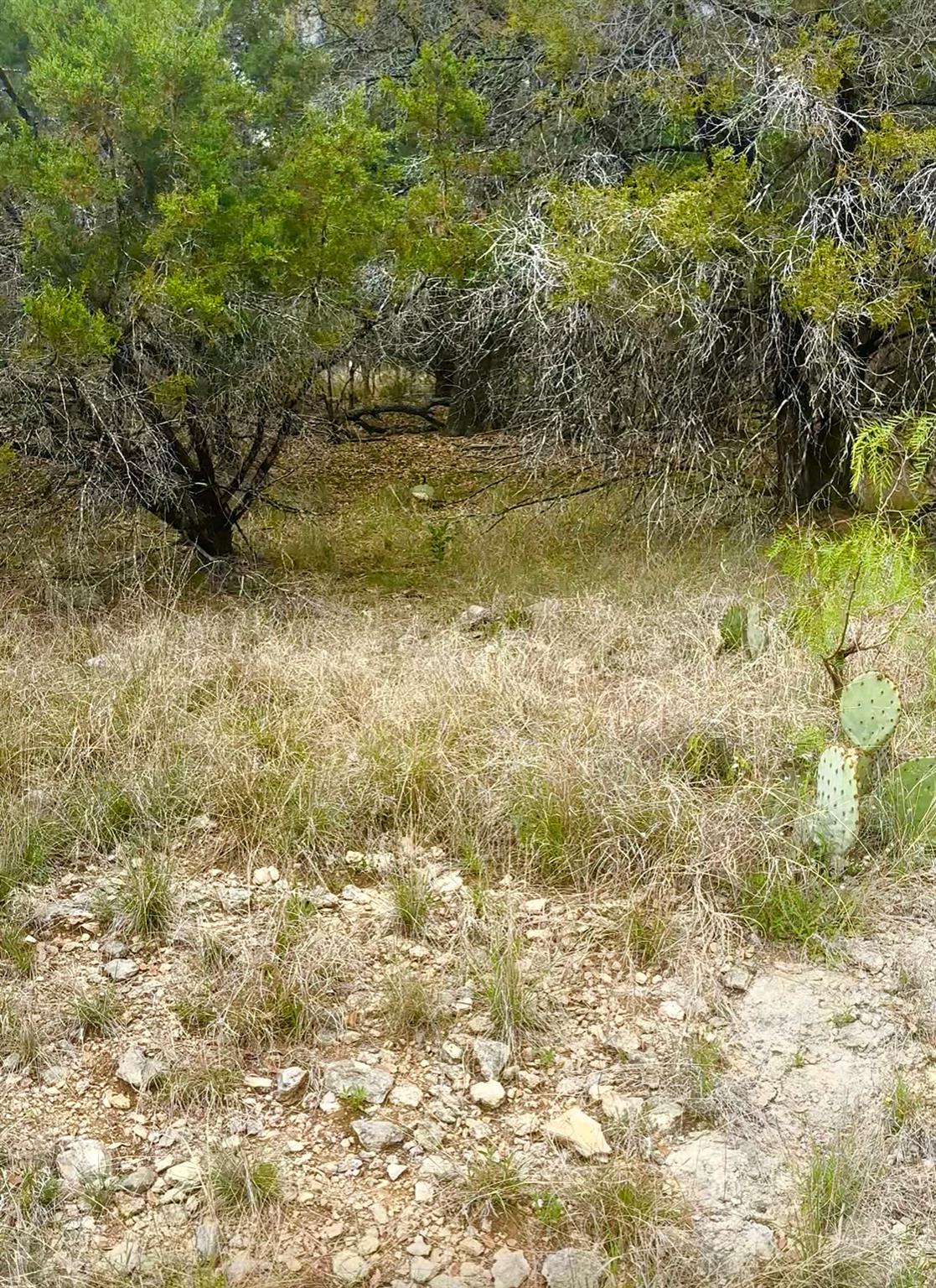 2000 Santa Cruz Cir, Leander, TX 78645