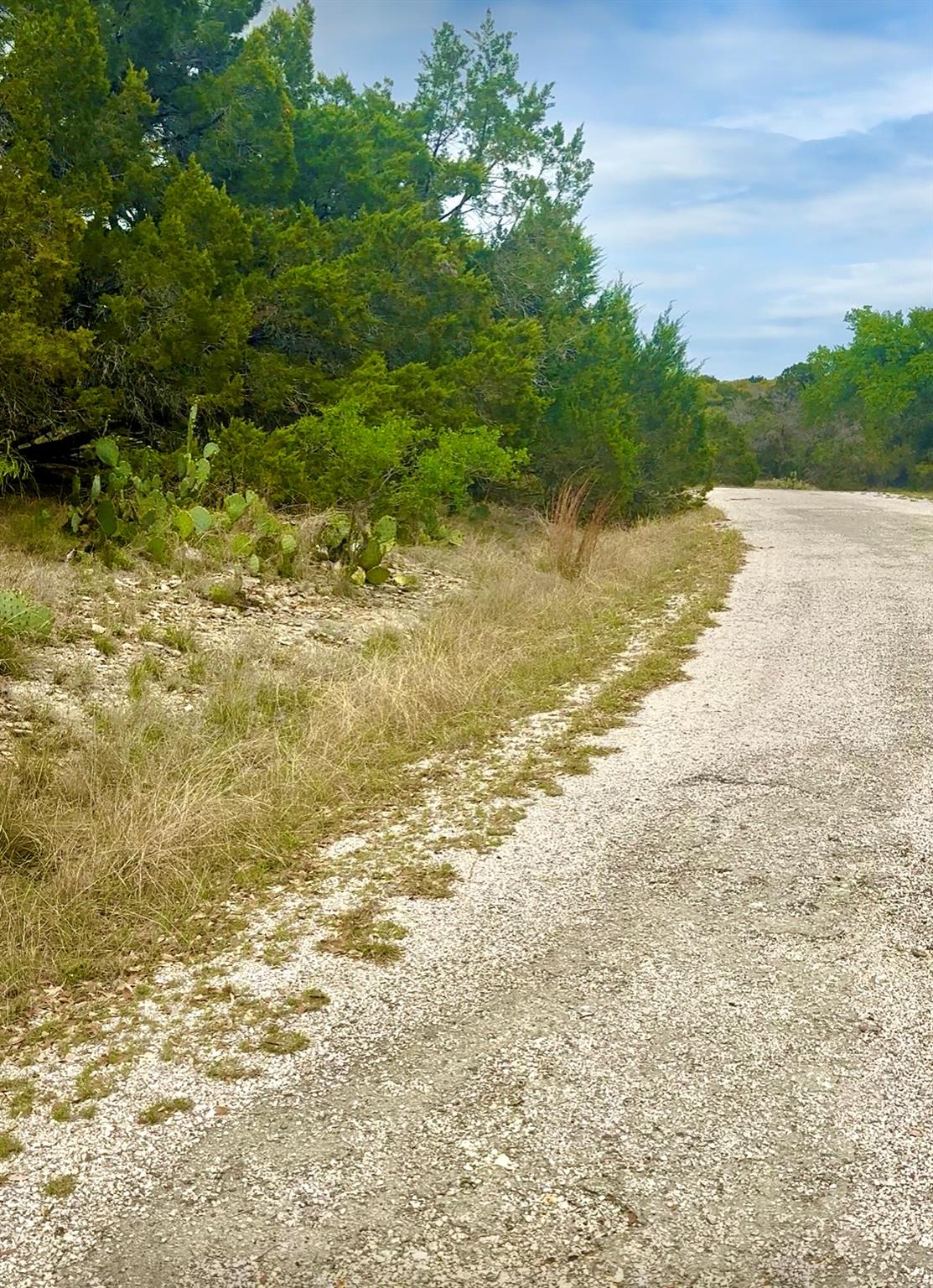 2000 Santa Cruz Cir, Leander, TX 78645