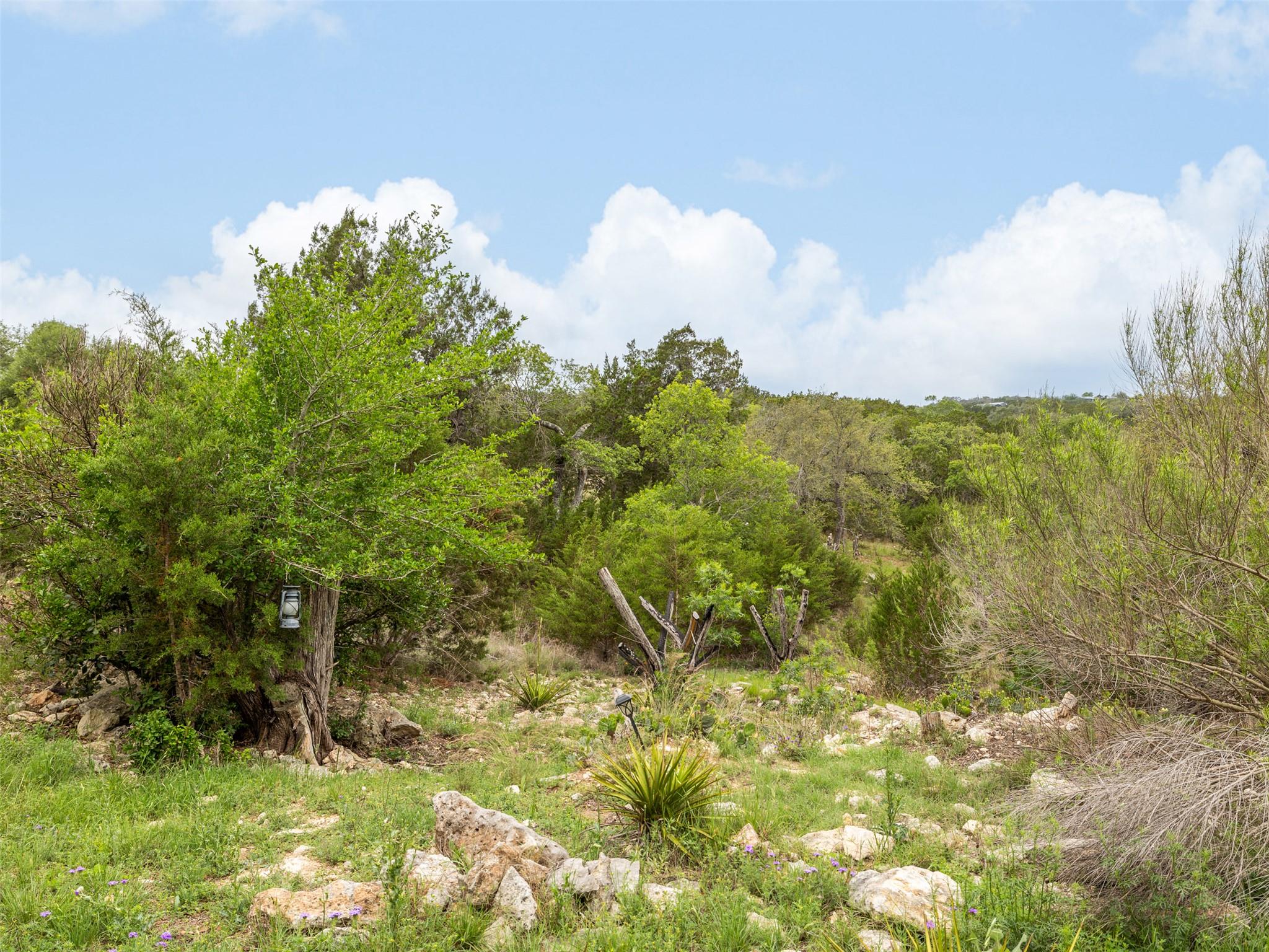 2591 Spring Valley Dr, Dripping Springs, TX 78620