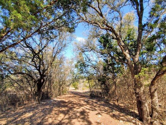 1352 Cypress Paul St, Georgetown, TX 78628