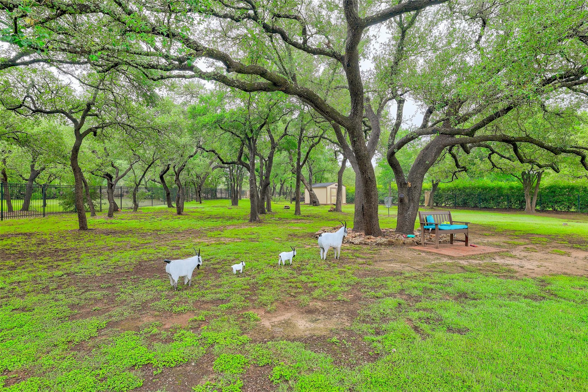 213 Vista Ln, Georgetown, TX 78633