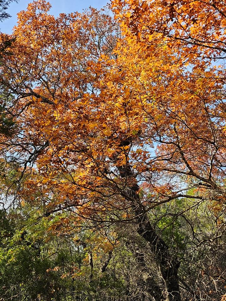 6438 Shaw Dr, Marble Falls, TX 78654