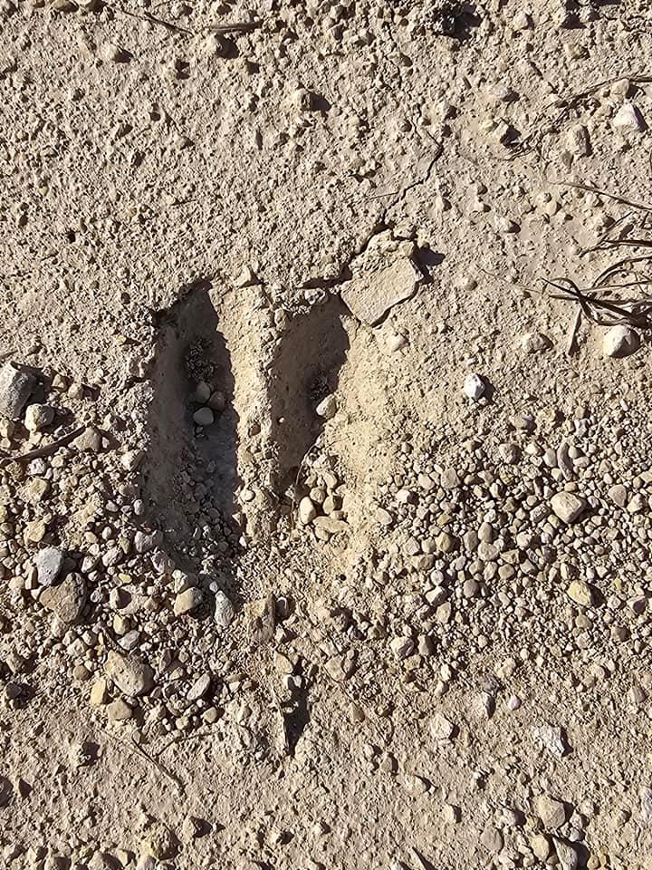 6438 Shaw Dr, Marble Falls, TX 78654