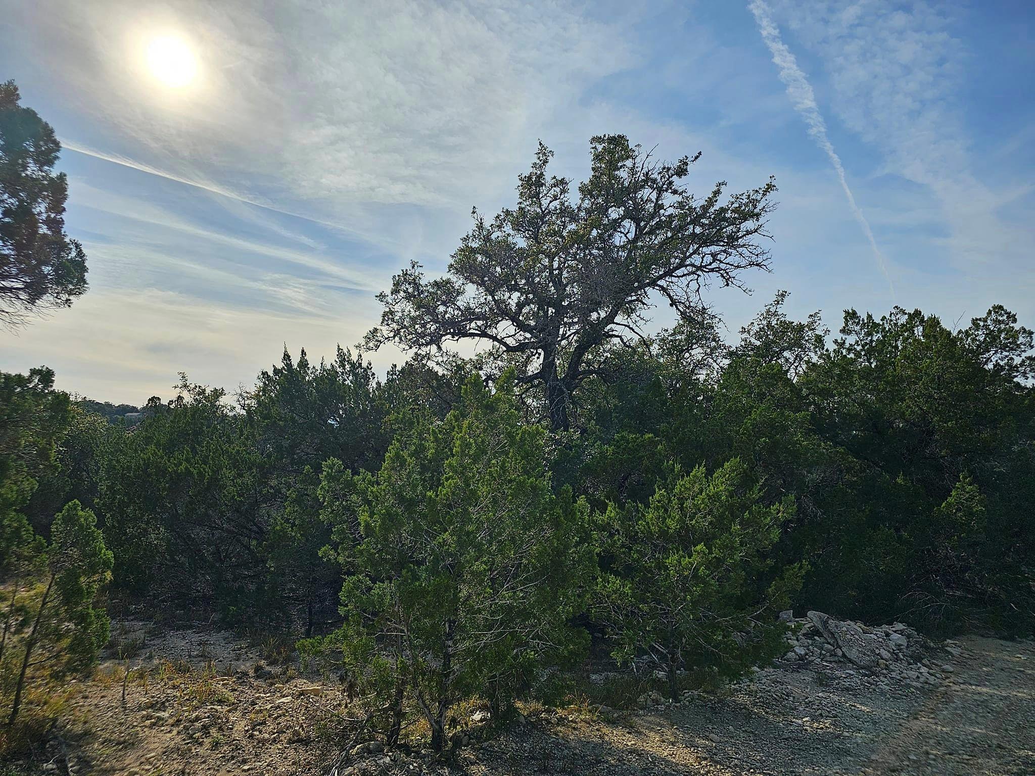 6438 Shaw Dr, Marble Falls, TX 78654