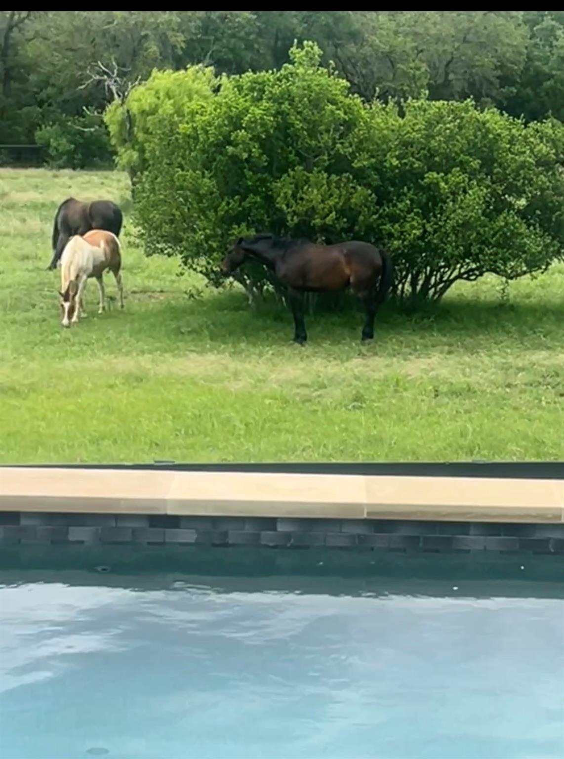 814 The Trails Pkwy, Horseshoe Bay, TX 78657