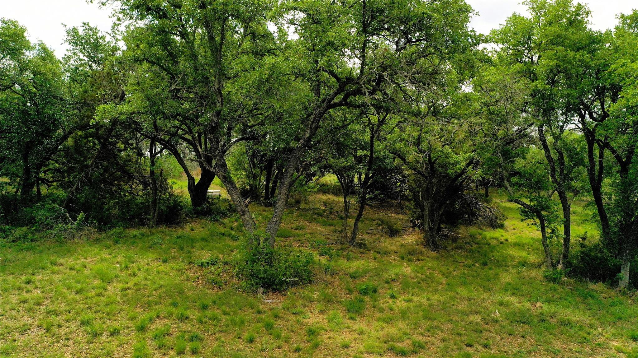 TBD CR 321, Bertram, TX 78605