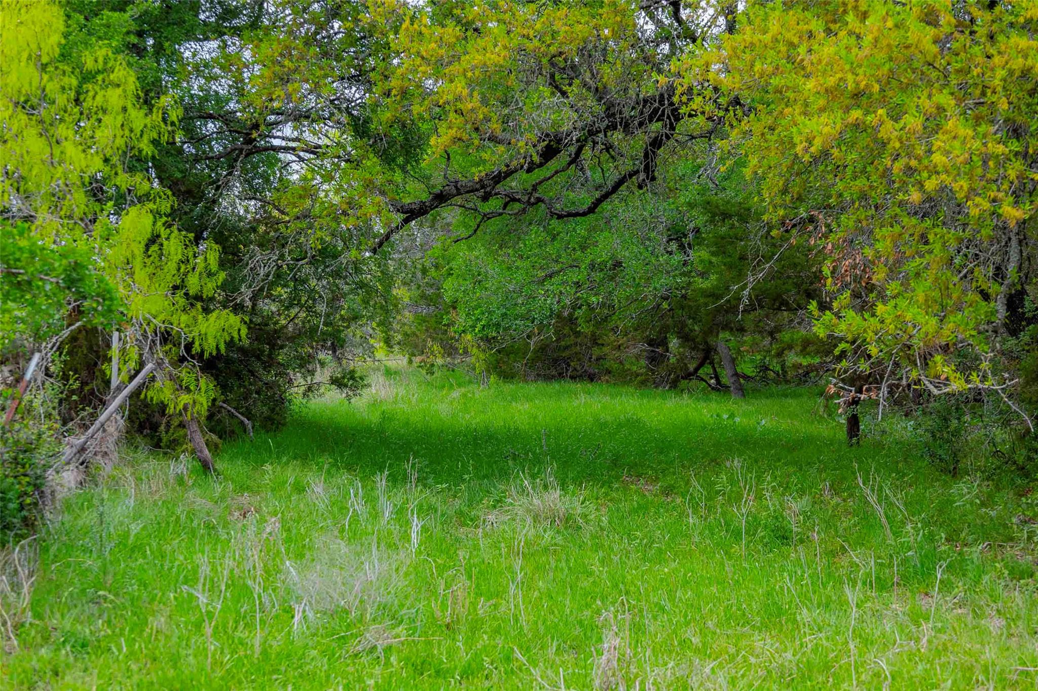 910 Abbey Rd, Liberty Hill, TX 78642