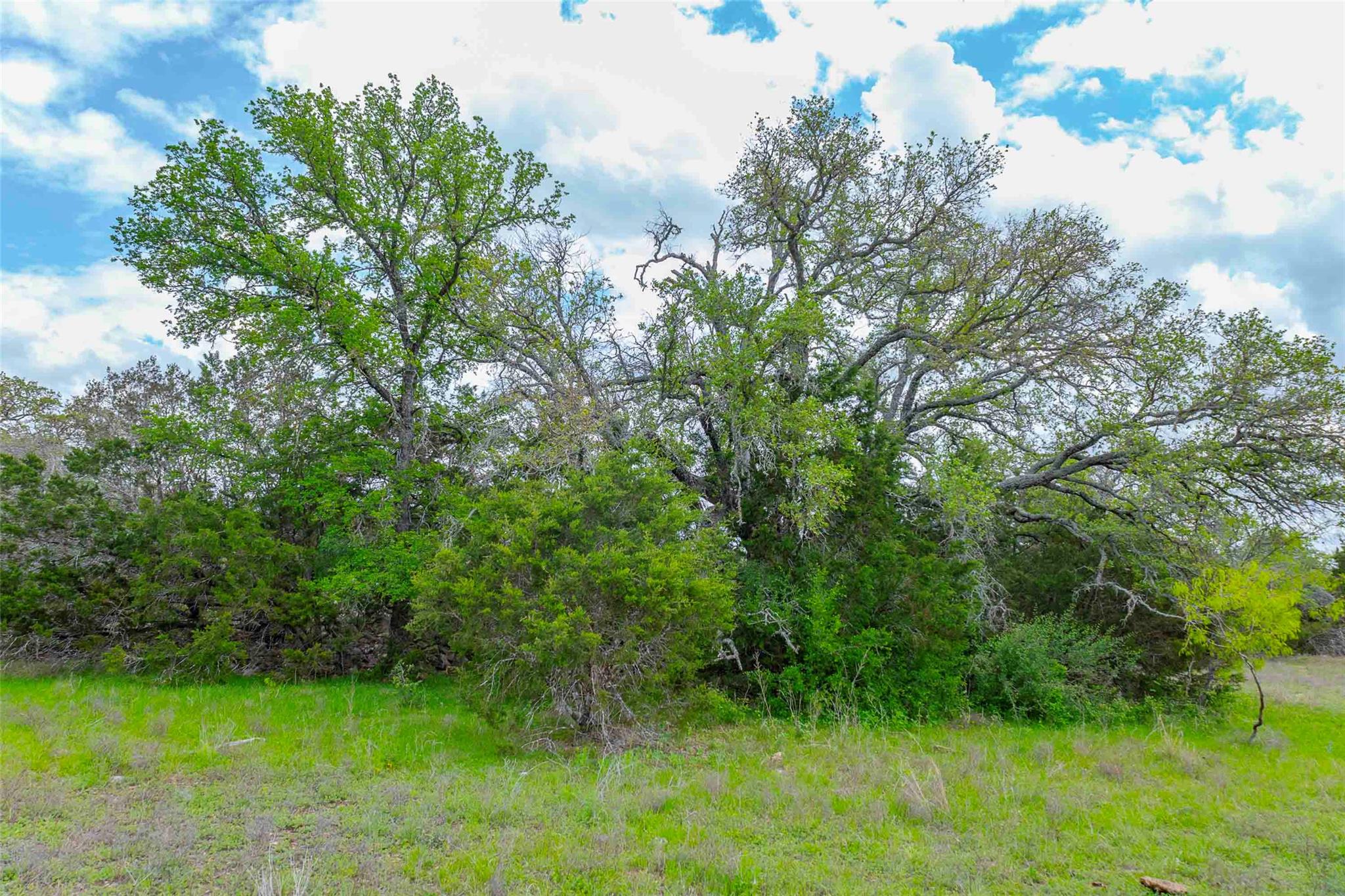 910 Abbey Rd, Liberty Hill, TX 78642