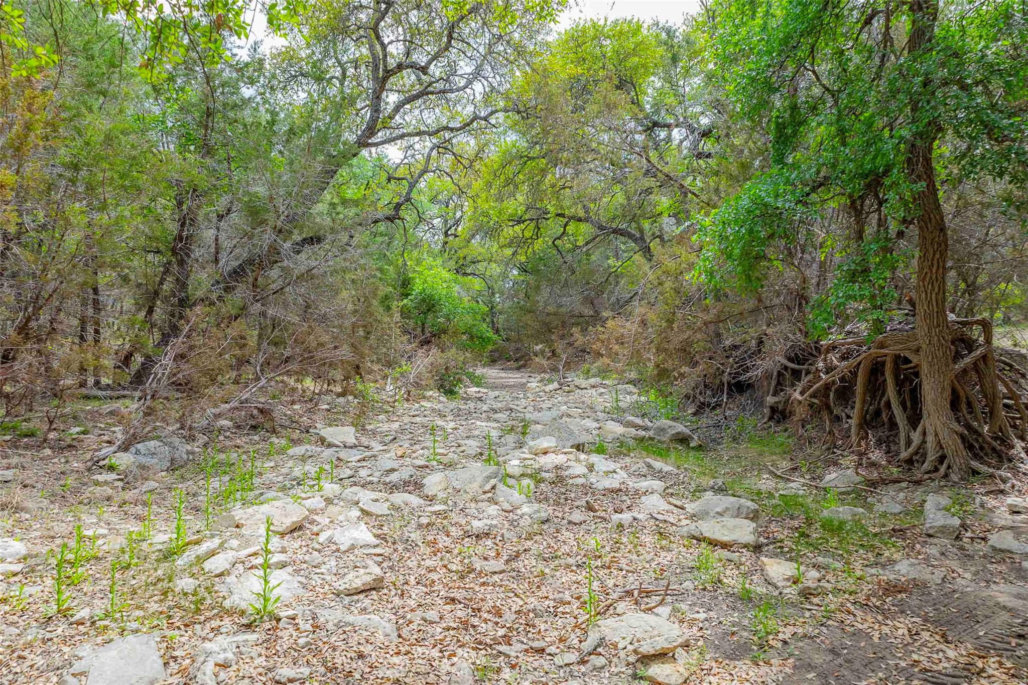 910 Abbey Rd, Liberty Hill, TX 78642