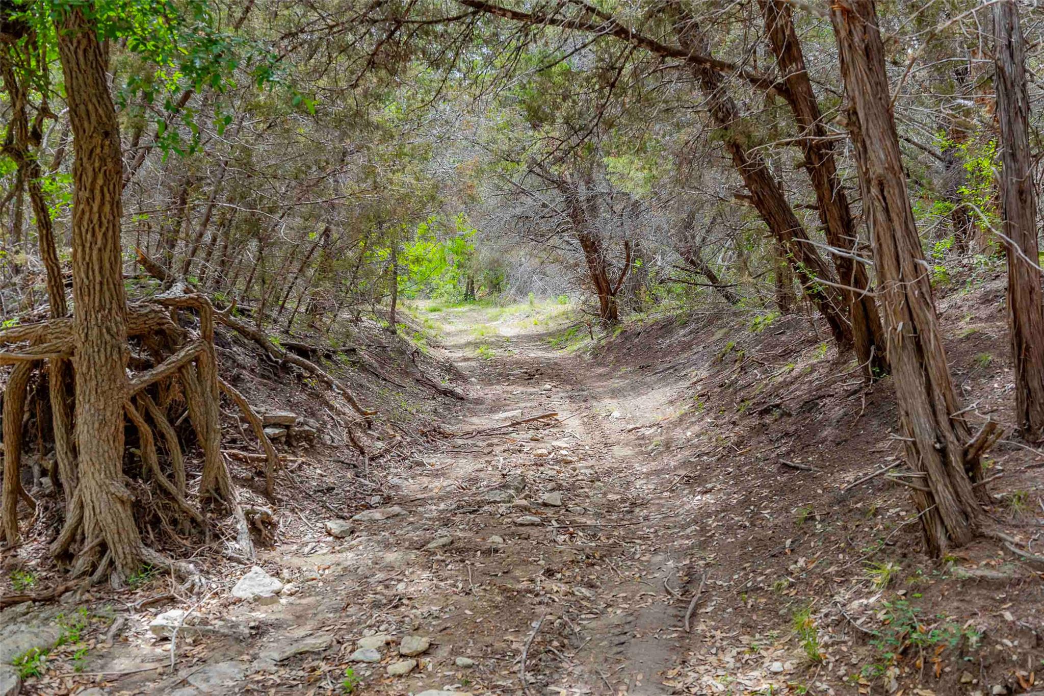 910 Abbey Rd, Liberty Hill, TX 78642