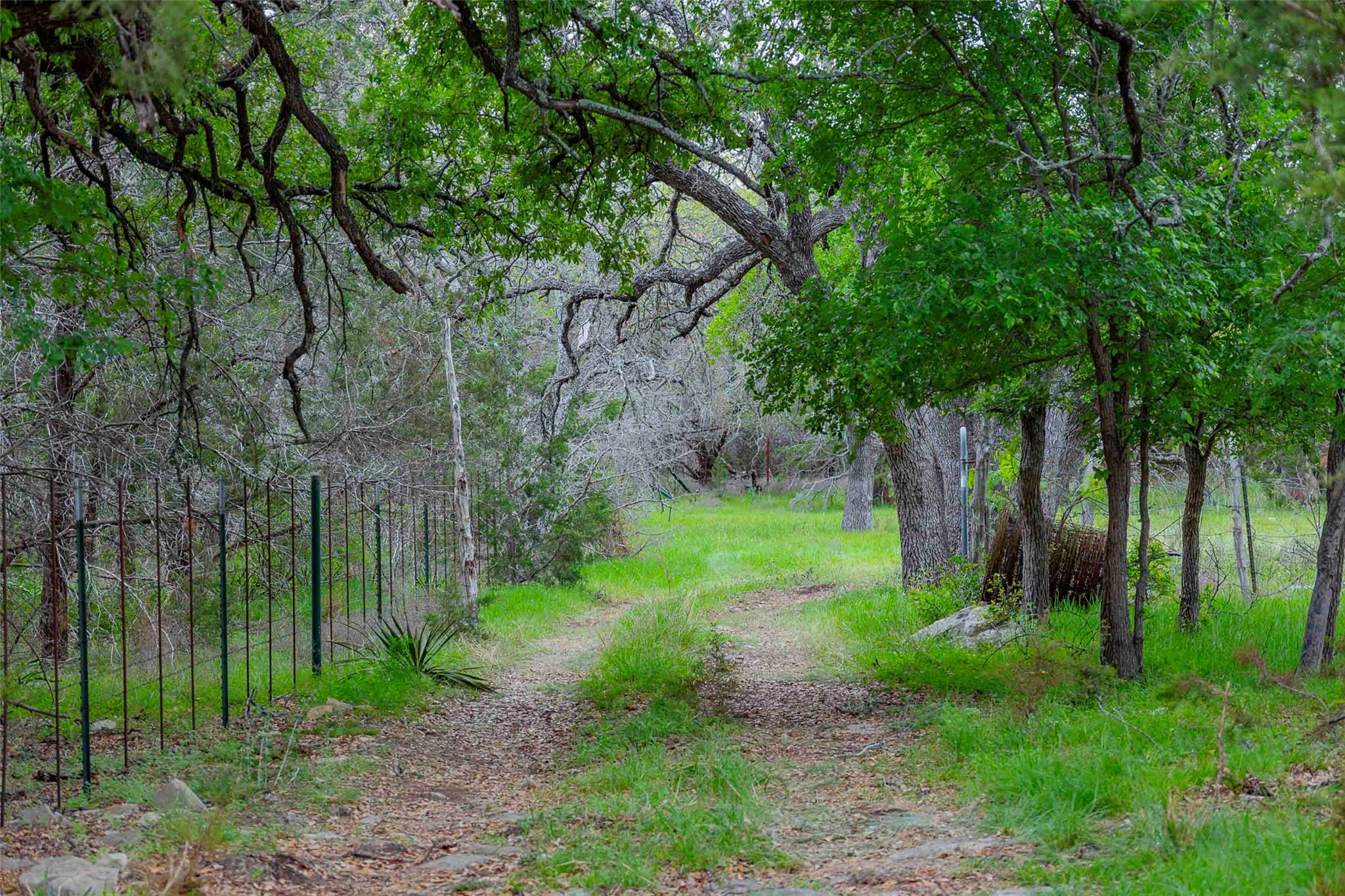 910 Abbey Rd, Liberty Hill, TX 78642