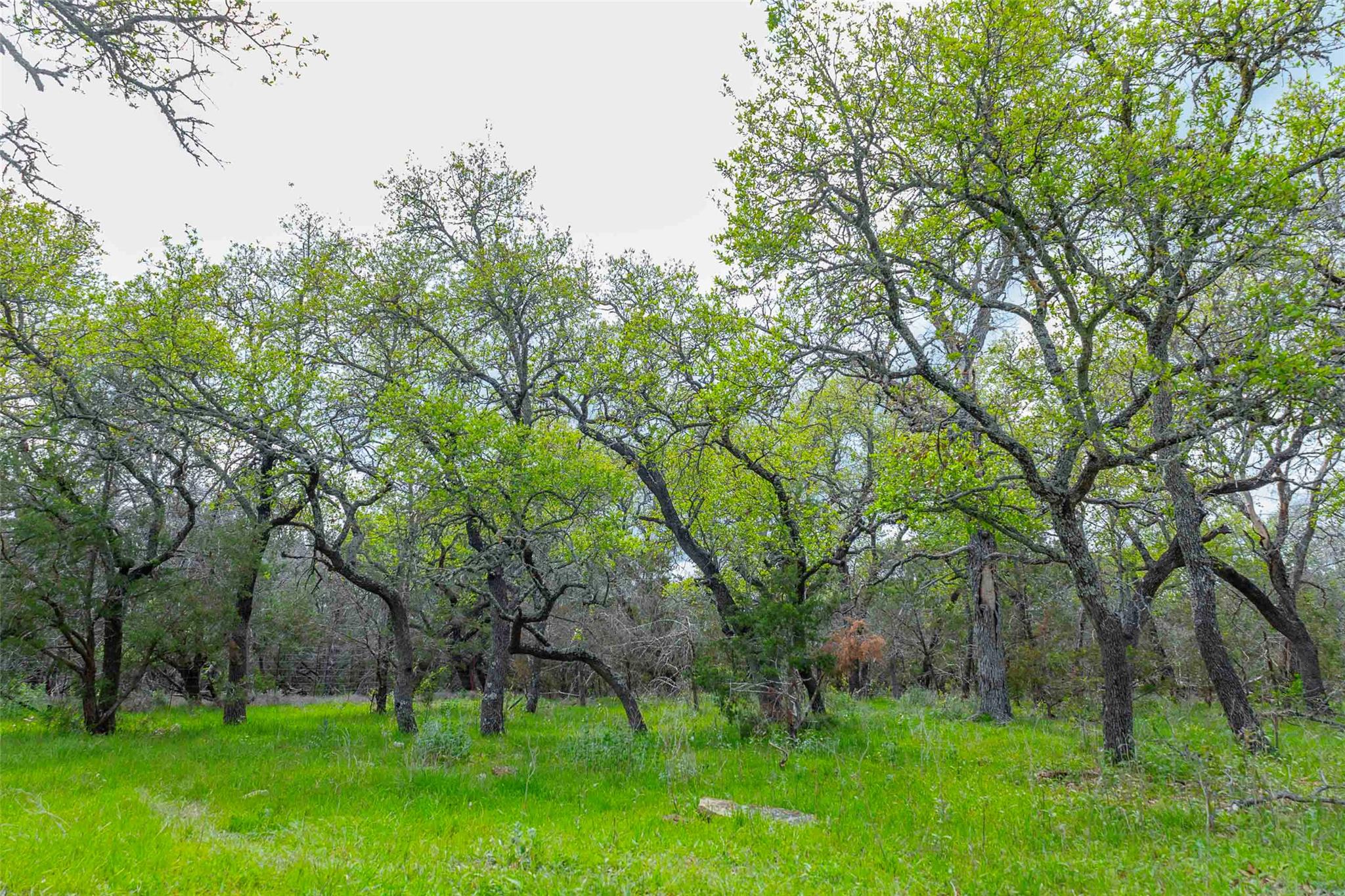 910 Abbey Rd, Liberty Hill, TX 78642