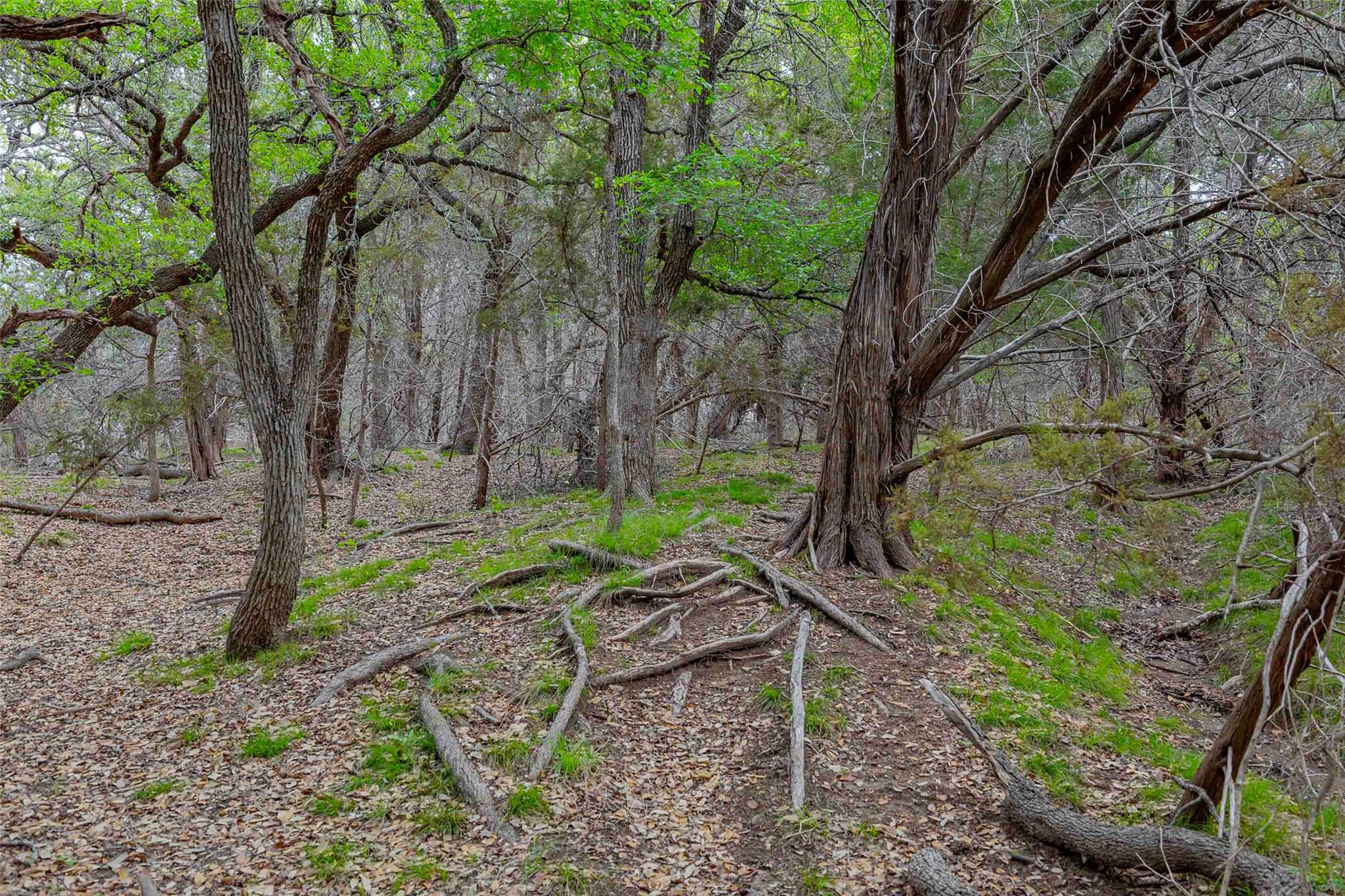 910 Abbey Rd, Liberty Hill, TX 78642