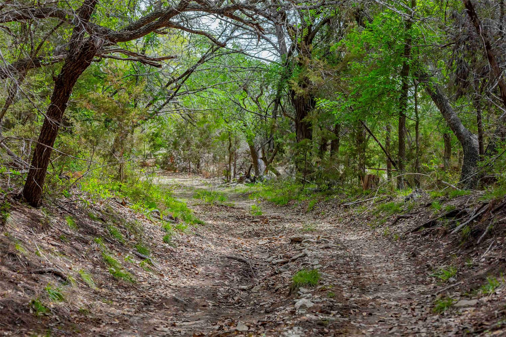 910 Abbey Rd, Liberty Hill, TX 78642