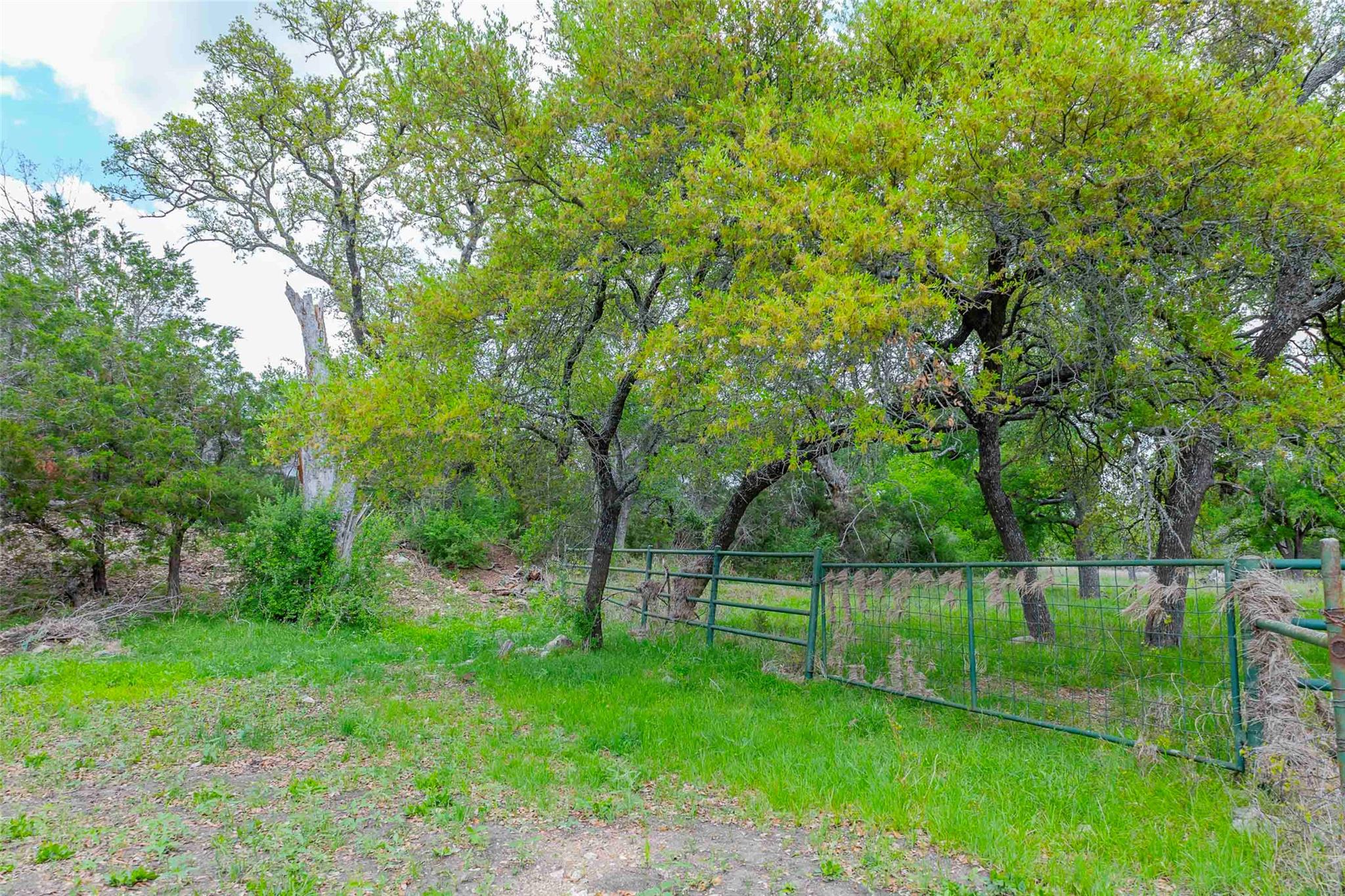 910 Abbey Rd, Liberty Hill, TX 78642