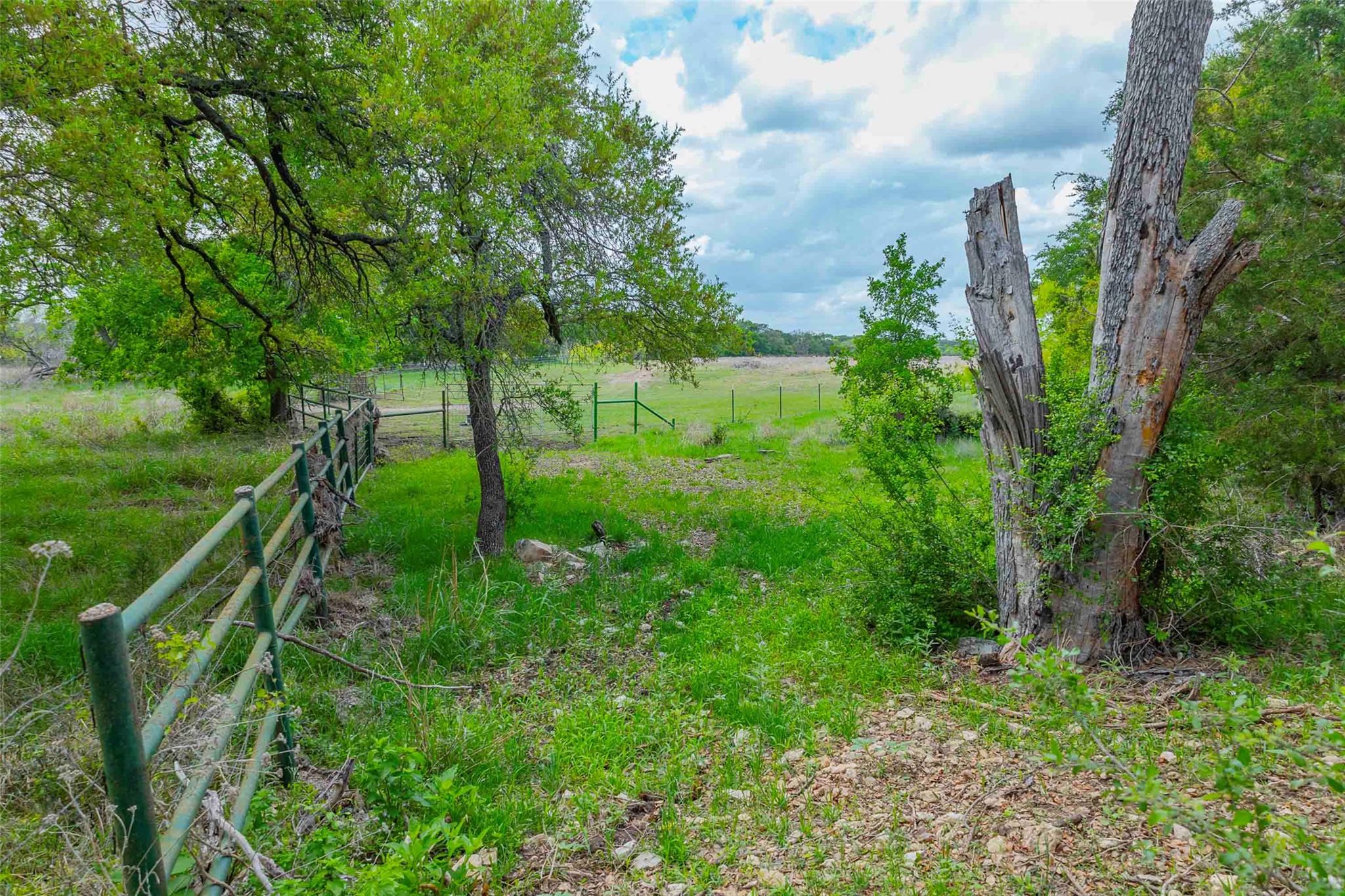 910 Abbey Rd, Liberty Hill, TX 78642