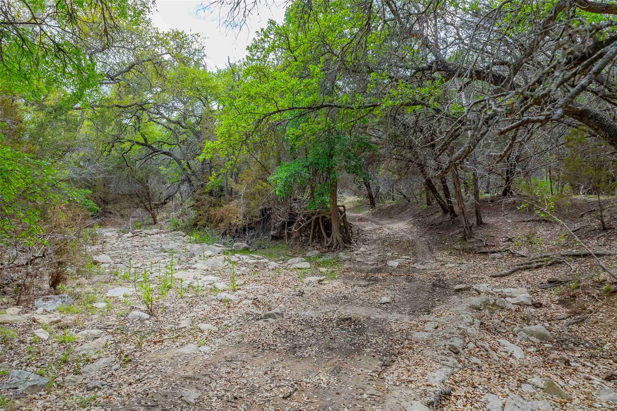 910 Abbey Rd, Liberty Hill, TX 78642