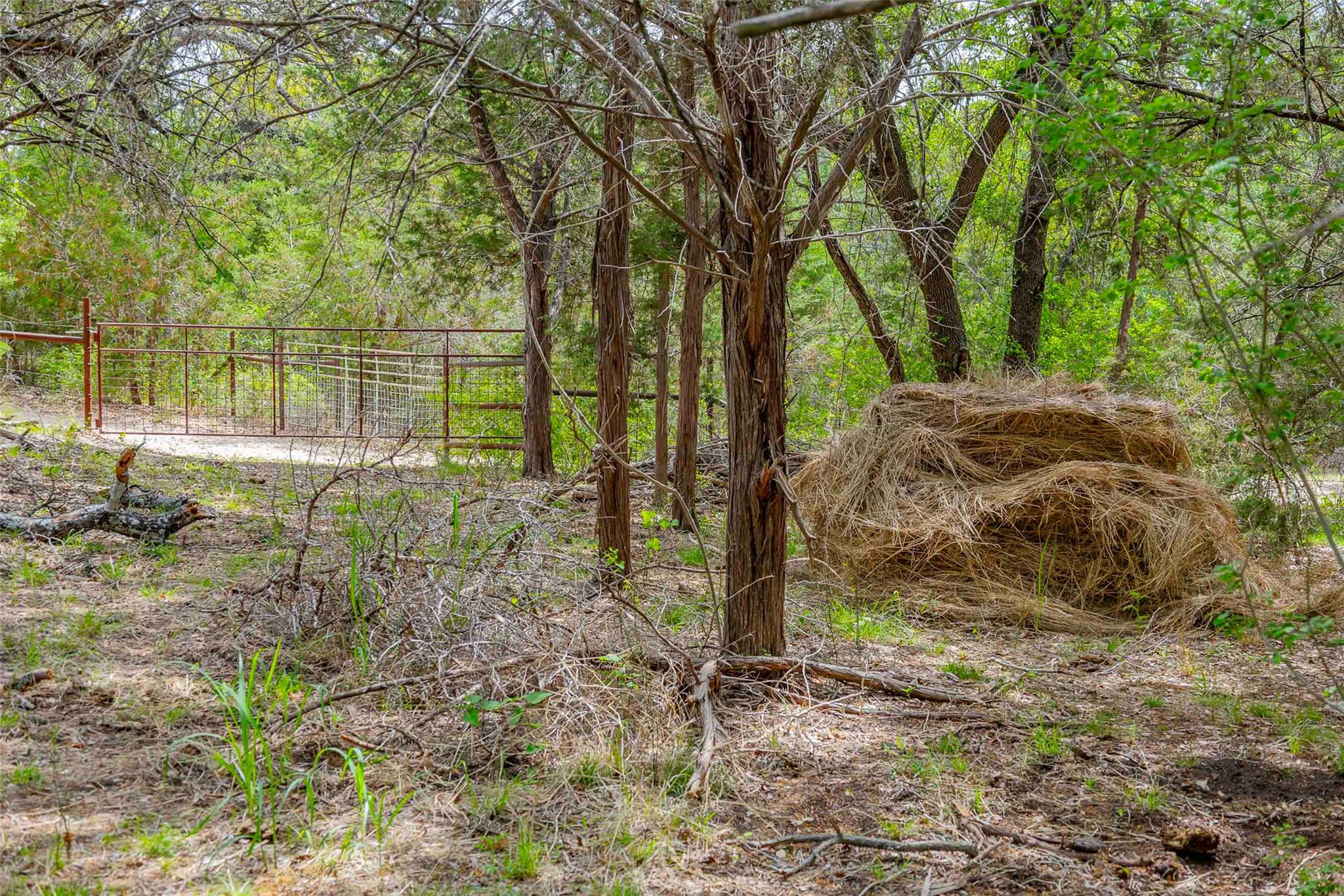 910 Abbey Rd, Liberty Hill, TX 78642