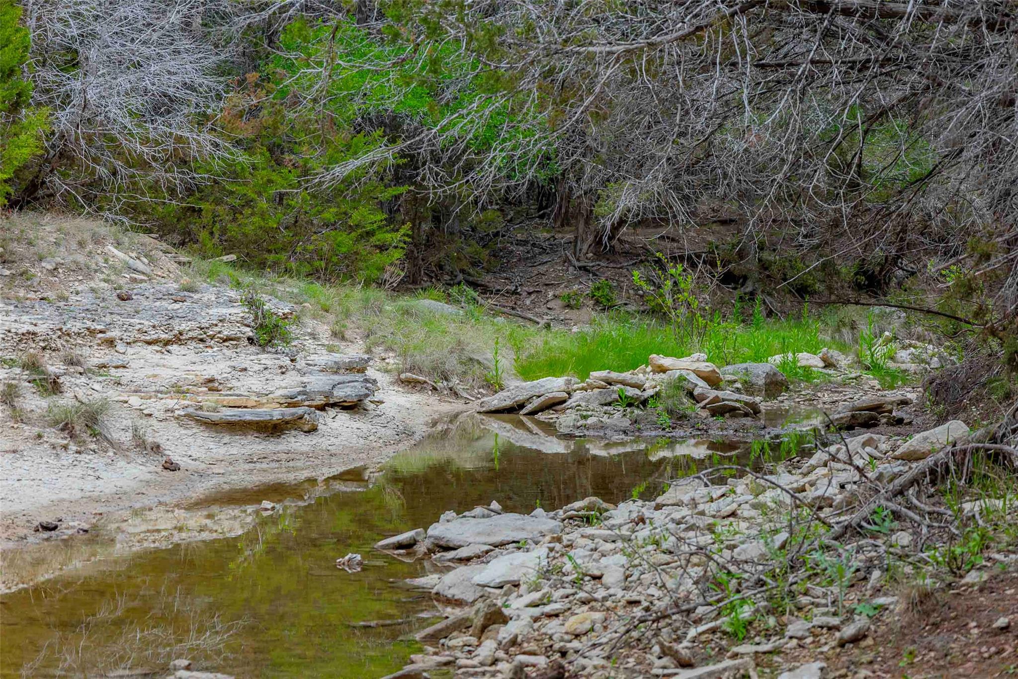 910 Abbey Rd, Liberty Hill, TX 78642