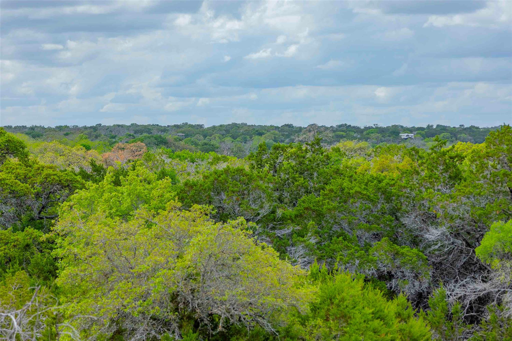 910 Abbey Rd, Liberty Hill, TX 78642