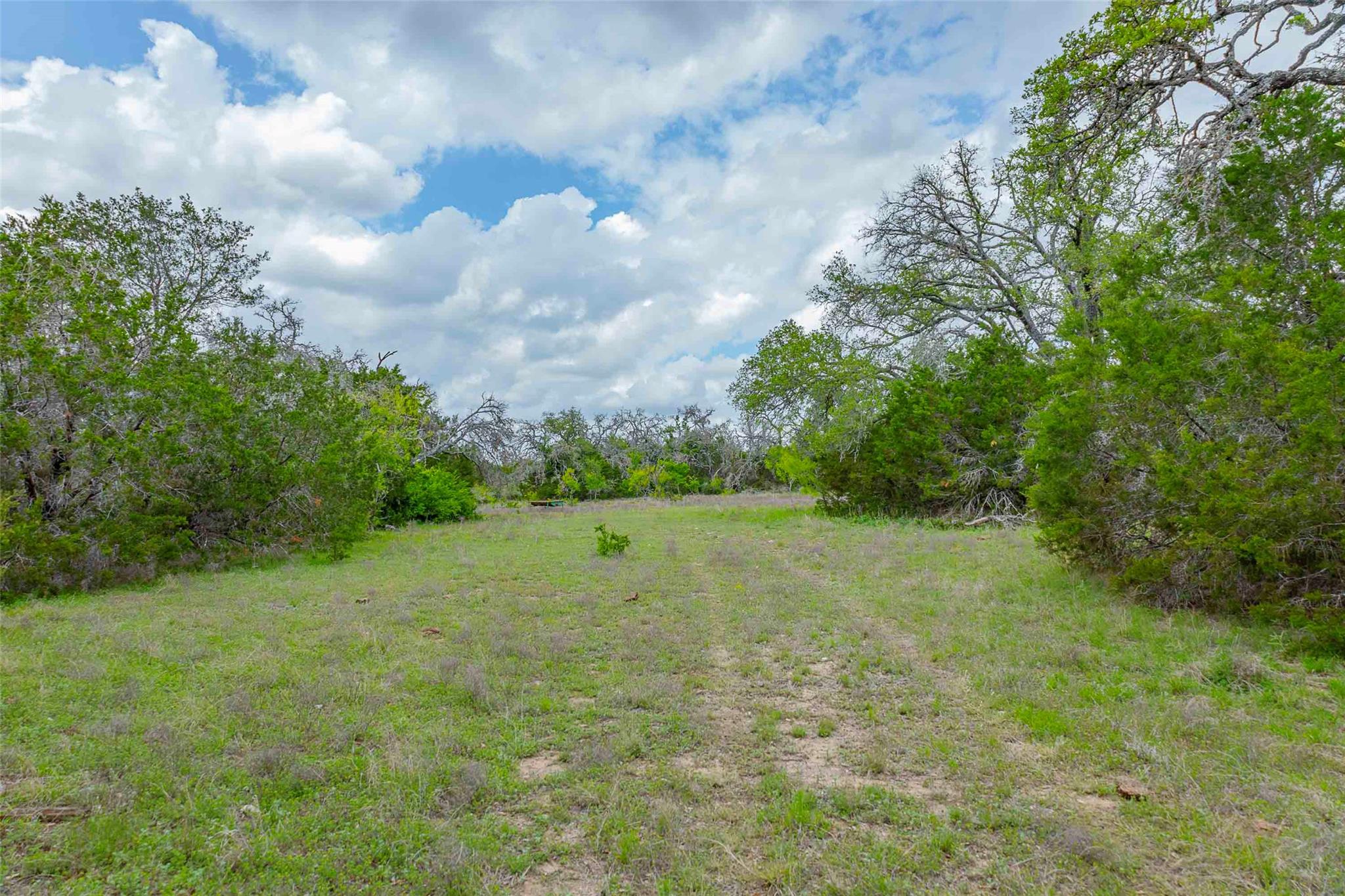 910 Abbey Rd, Liberty Hill, TX 78642