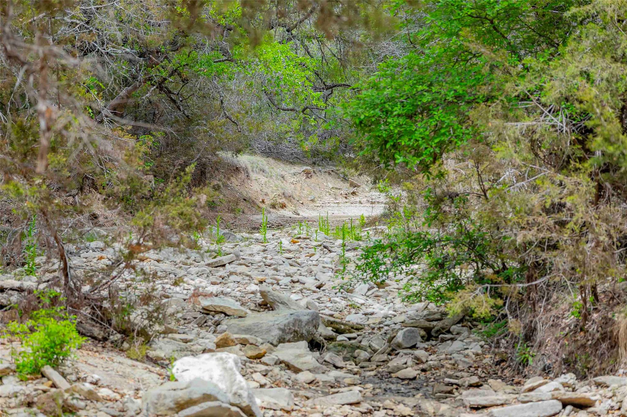 910 Abbey Rd, Liberty Hill, TX 78642