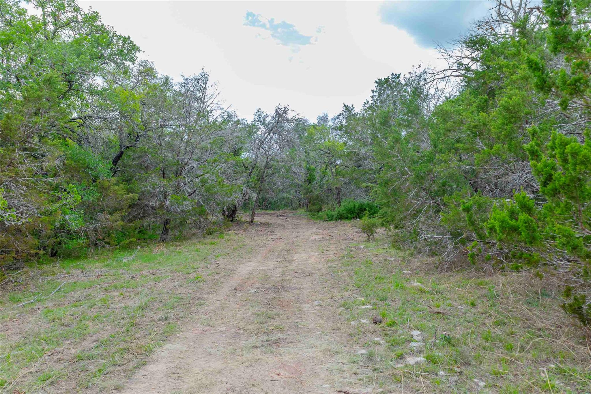 910 Abbey Rd, Liberty Hill, TX 78642