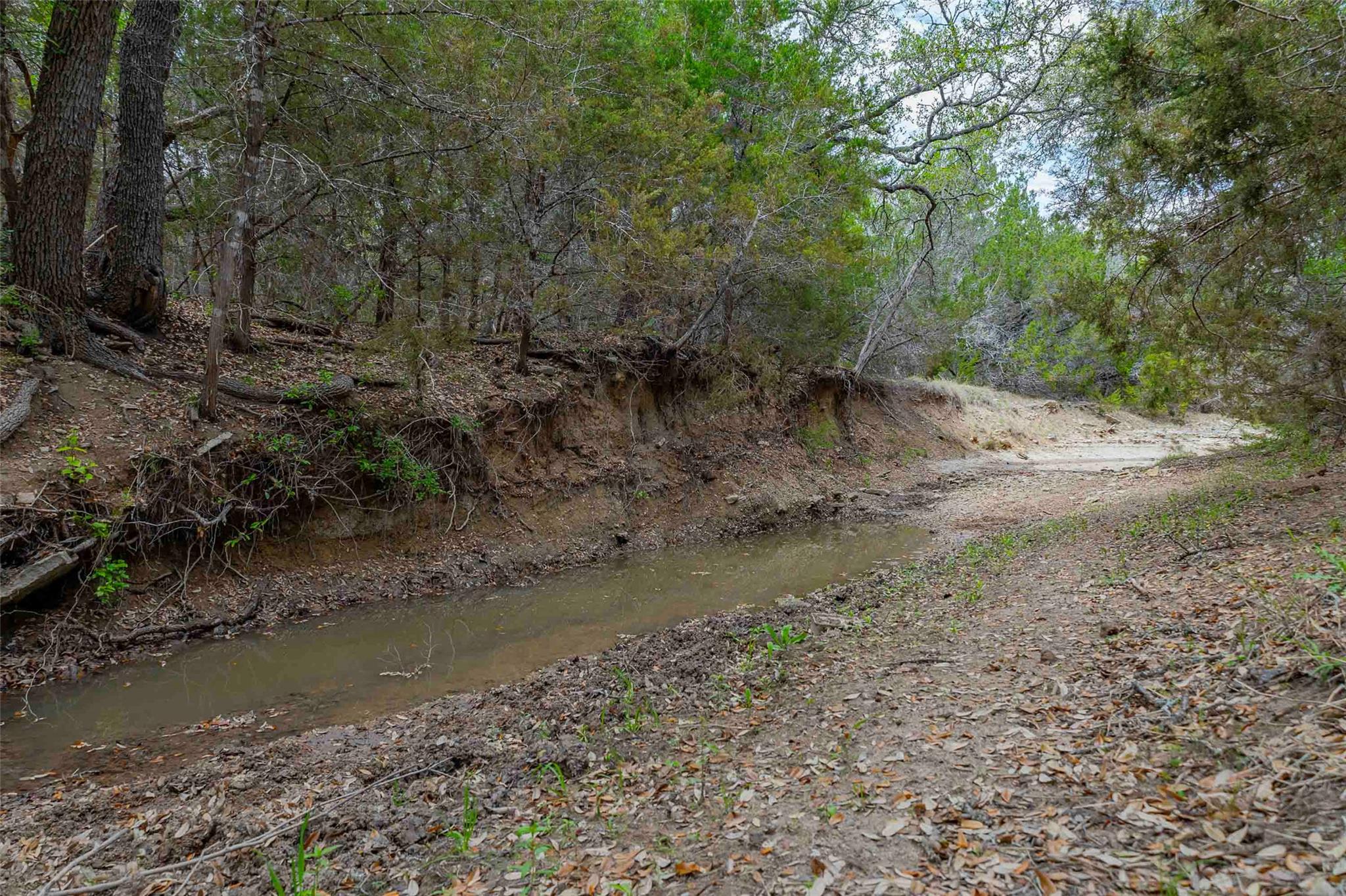 910 Abbey Rd, Liberty Hill, TX 78642